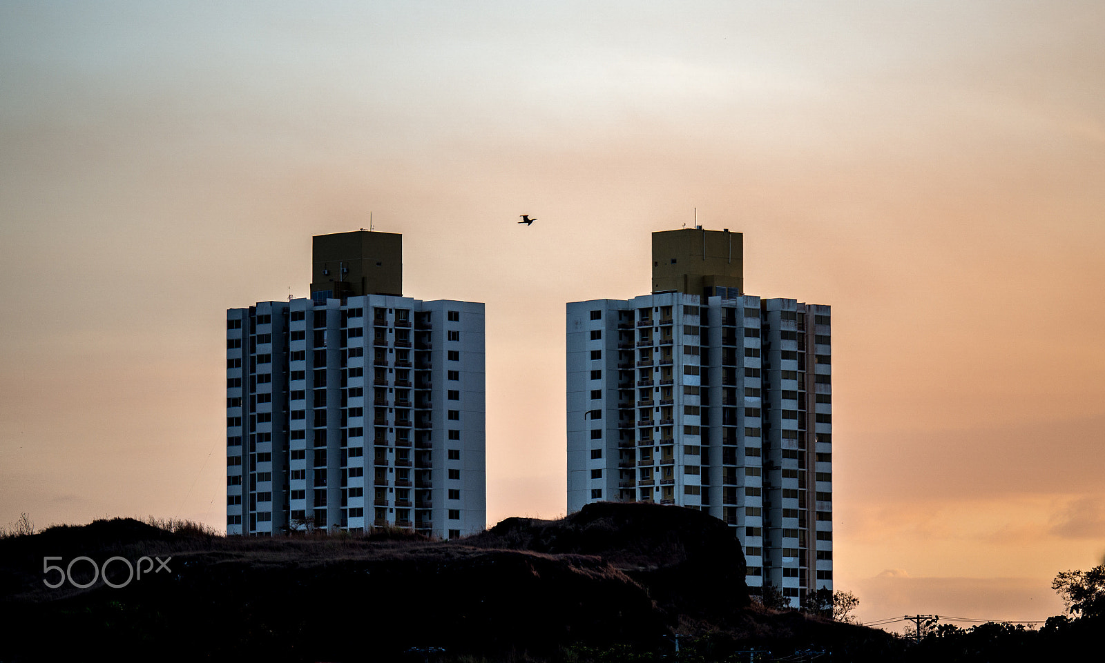 Panasonic Lumix G X Vario 35-100mm F2.8 OIS sample photo. Flying between photography