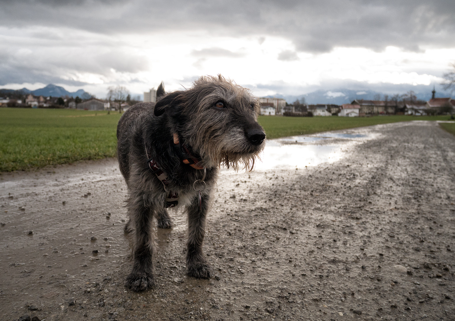 Panasonic Lumix DMC-GX7 sample photo. Stormy mondy blues photography