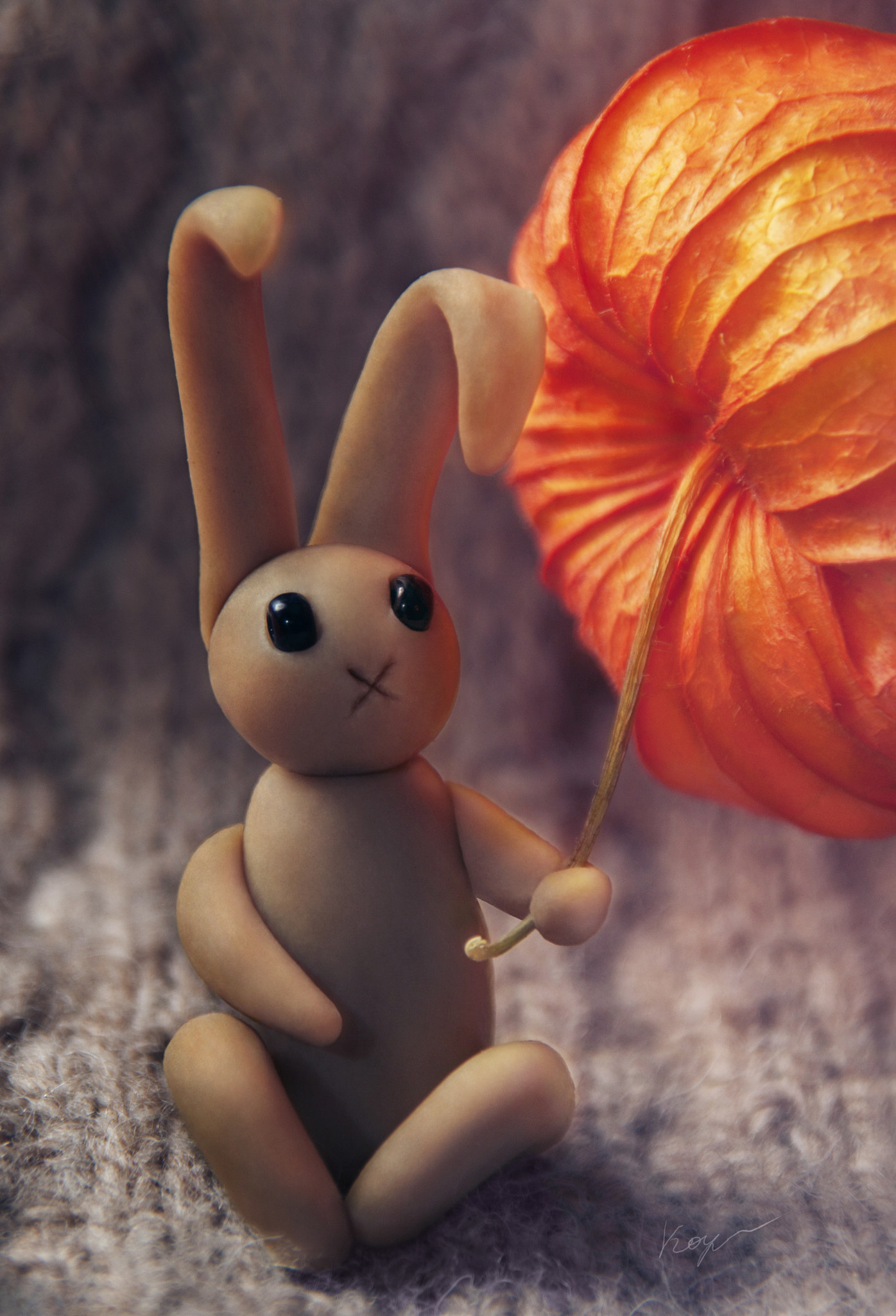 Olympus E-420 (EVOLT E-420) + OLYMPUS 18mm-180mm Lens sample photo. Bunny and physalis photography