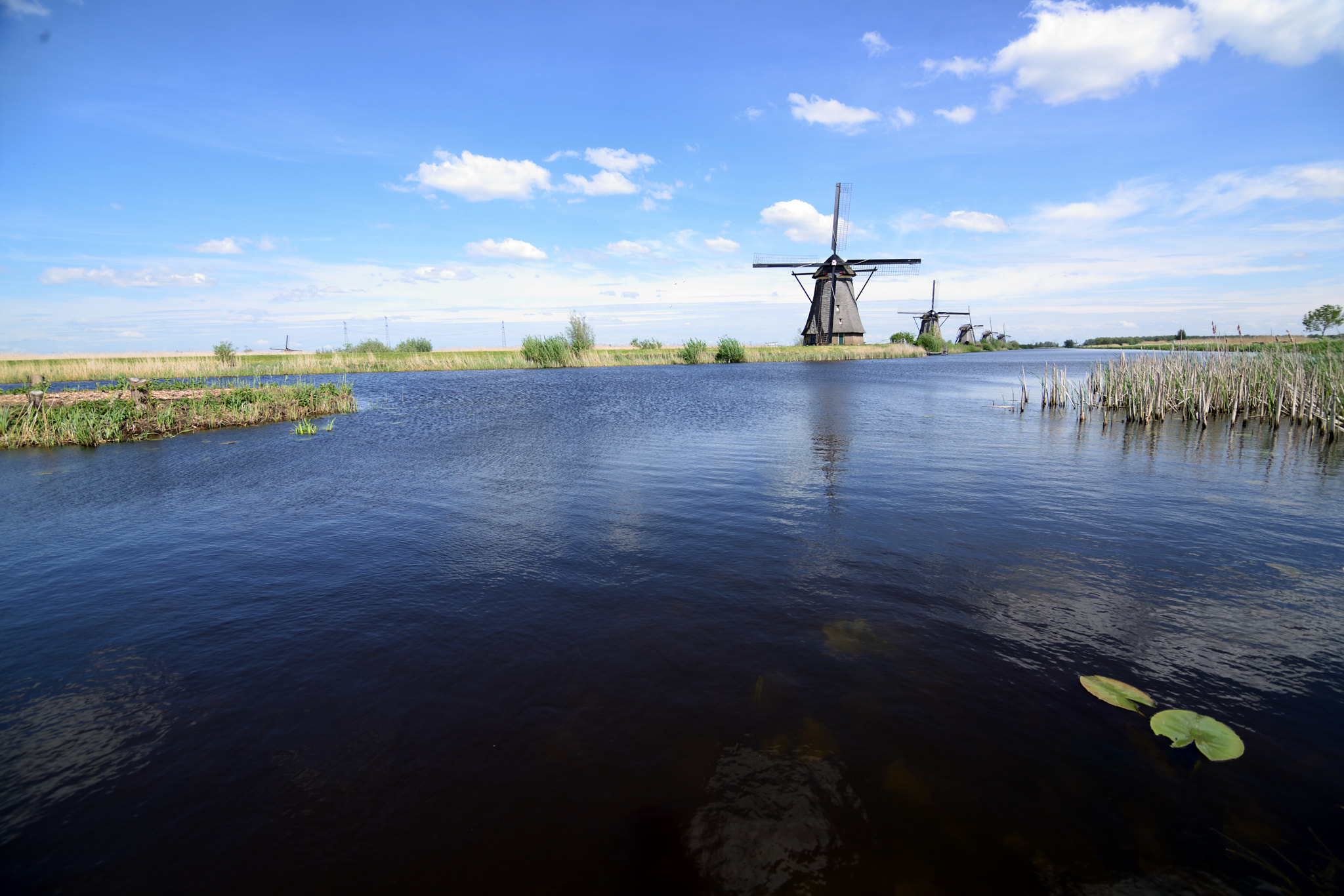Nikon D600 sample photo. Rotterdam photography