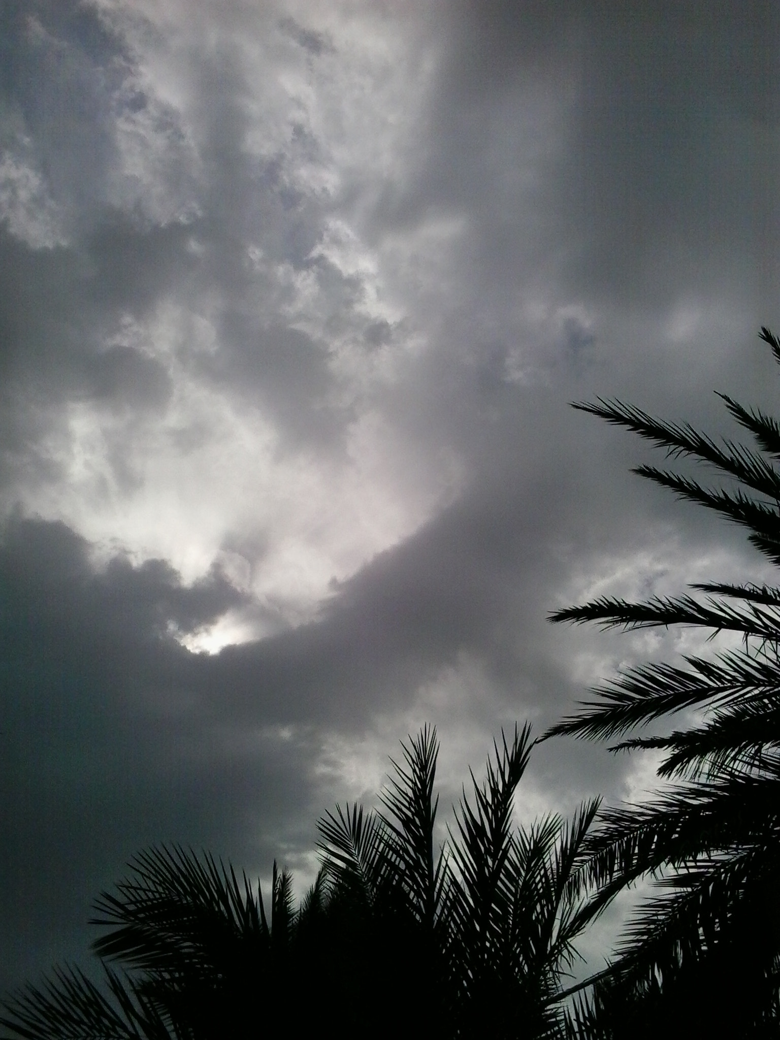 Samsung Galaxy Young sample photo. Lady face of cloud  photography