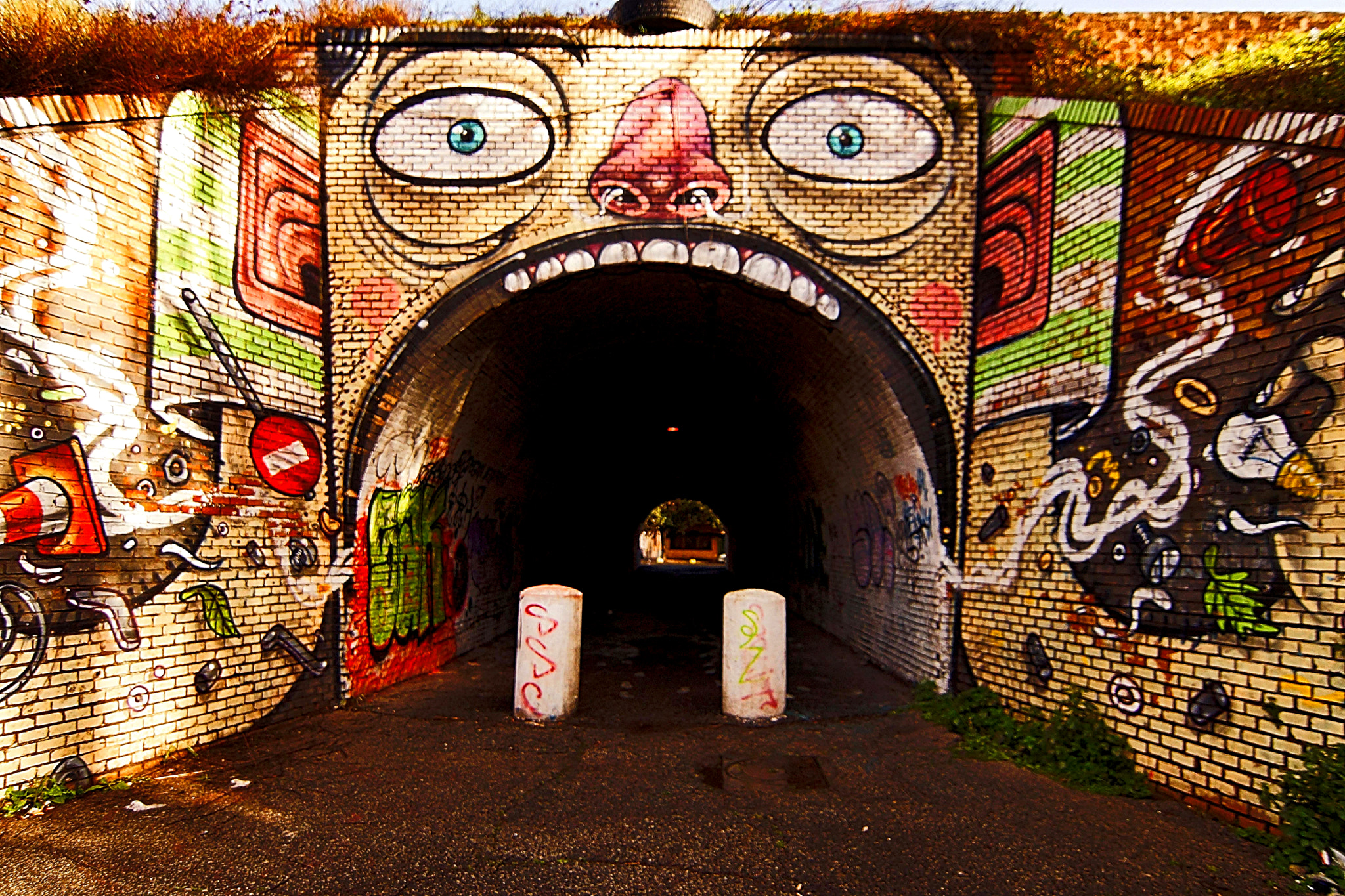 Sony SLT-A65 (SLT-A65V) + 20mm F2.8 sample photo. M.u.ro -museum of urban art of rome photography