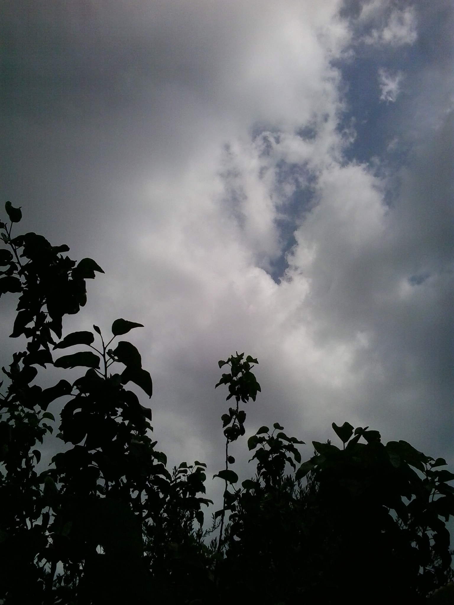 Samsung Galaxy Young sample photo. Monster of clouds  photography