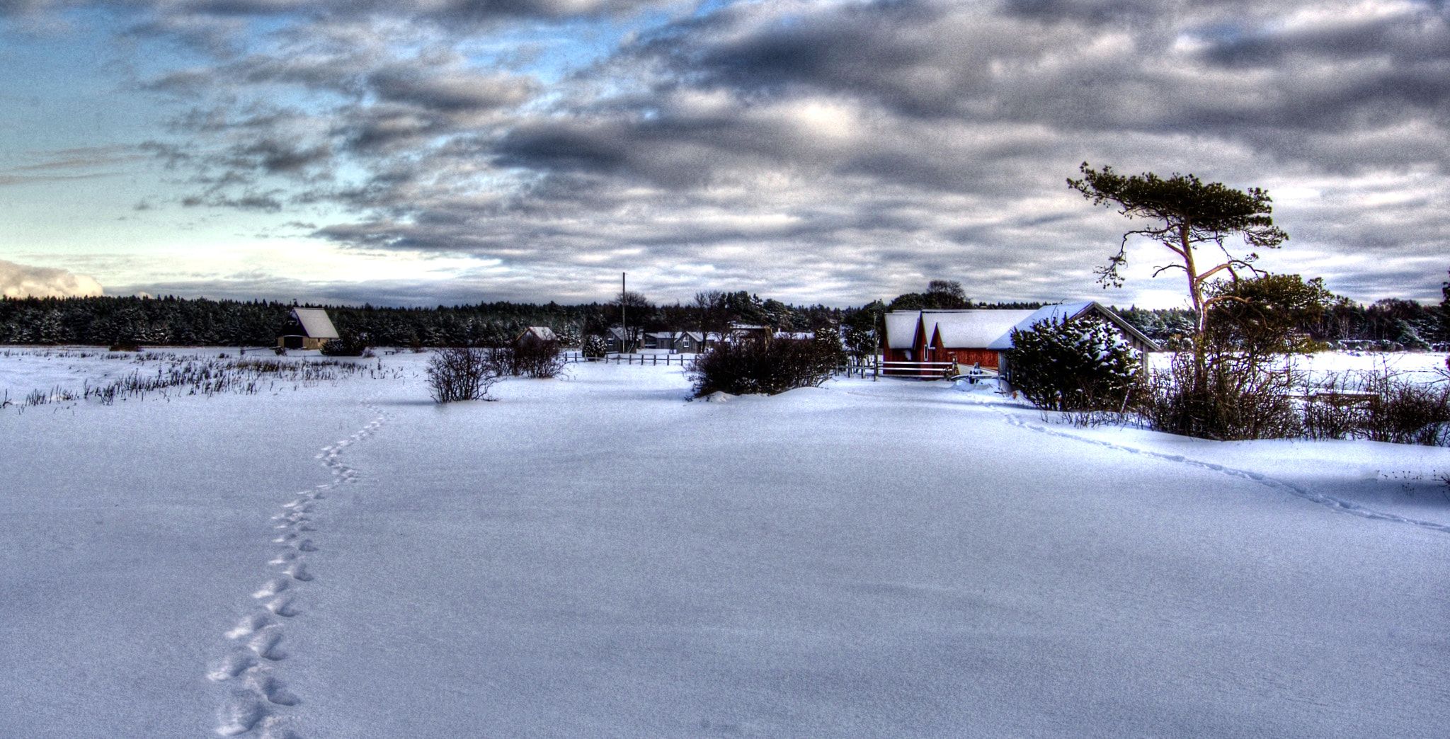 Nikon D2X sample photo. Tonemapped photography