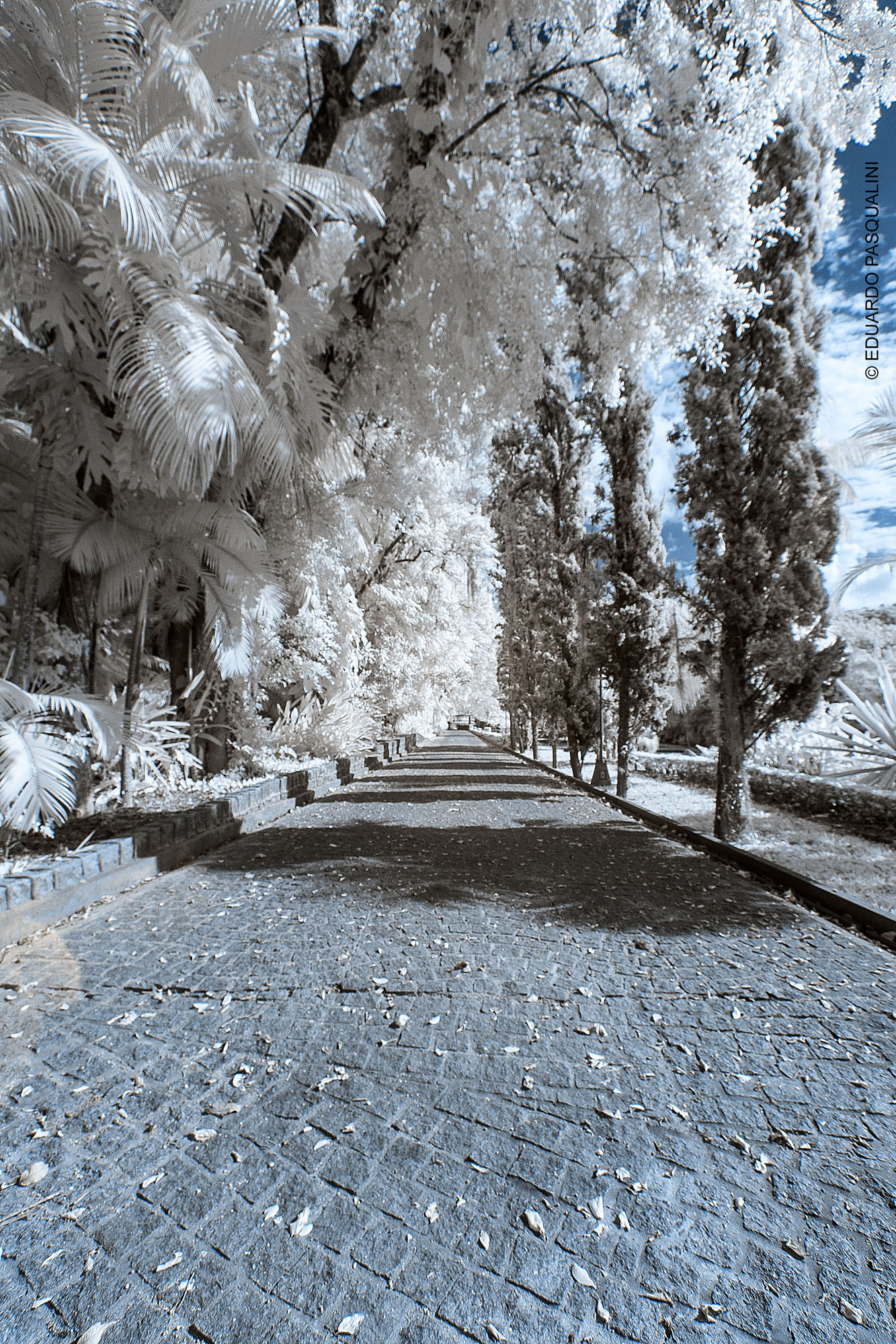 Canon EOS 30D sample photo. Infrared way photography