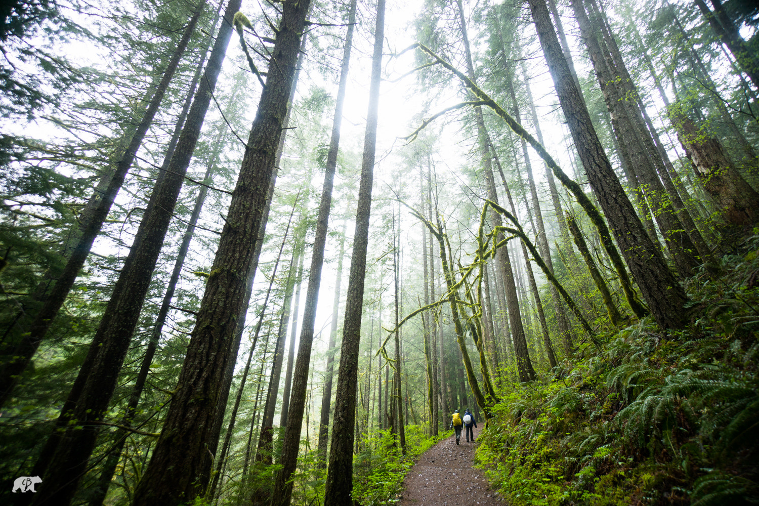 Sony a7 + Sony E 10-18mm F4 OSS sample photo. 2014, chris burkard, oregon, travel oregon photography