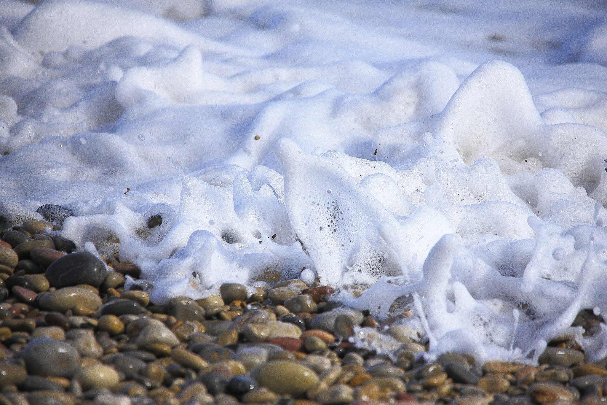 Sigma 150-500mm F5-6.3 DG OS HSM sample photo. Foam photography