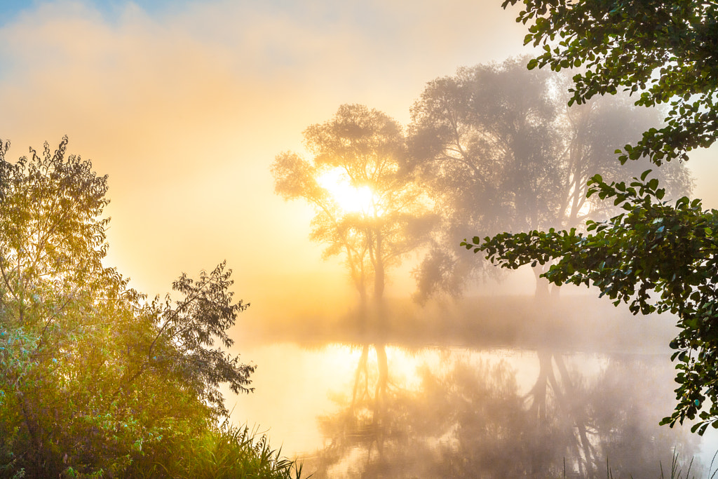 Misty dawn over the river and the forest. Mysterious tree silhouettes by Nick Yegorov on 500px.com