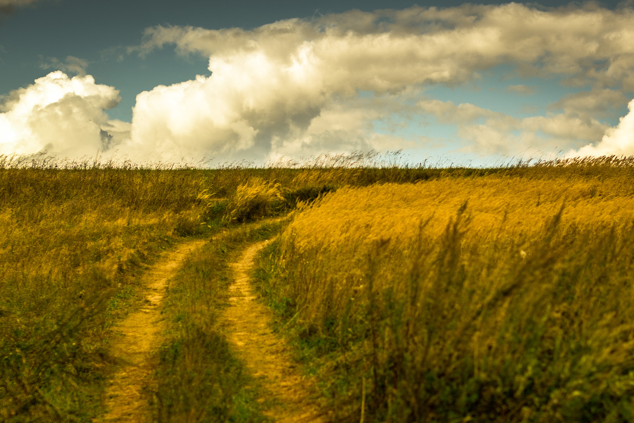 Nikon D5300 + Sigma 50mm F1.4 EX DG HSM sample photo. Road photography