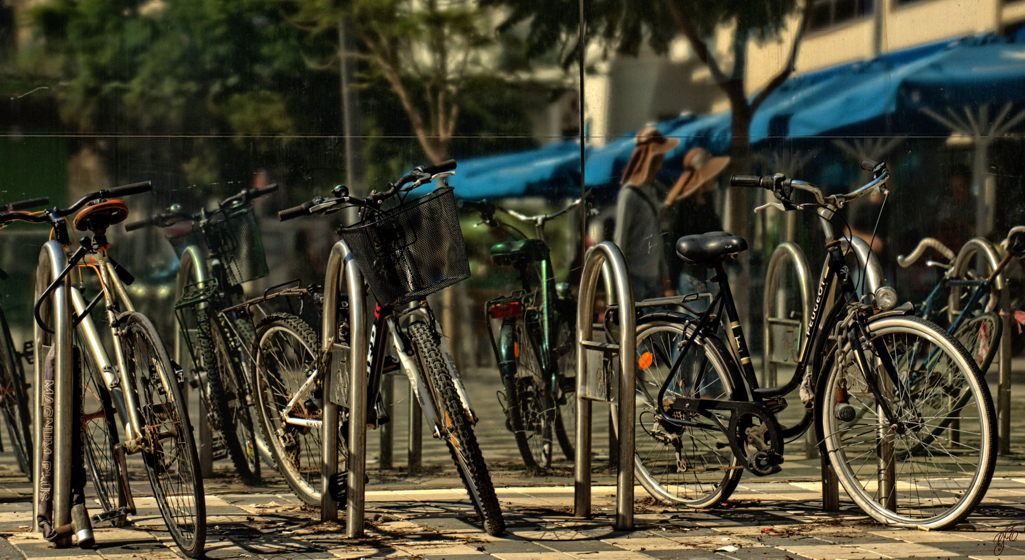 28-300mm F3.5-6.3 SSM sample photo. Under the sultry sun... (lens from japan) photography