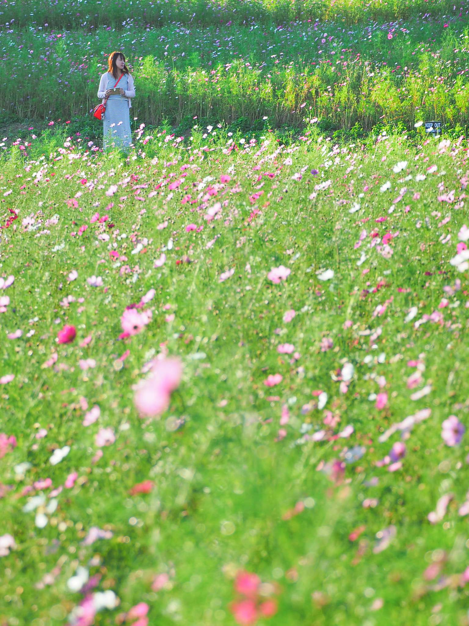 LUMIX G VARIO 45-150/F4.0-5.6 sample photo. Olympus digital camera photography