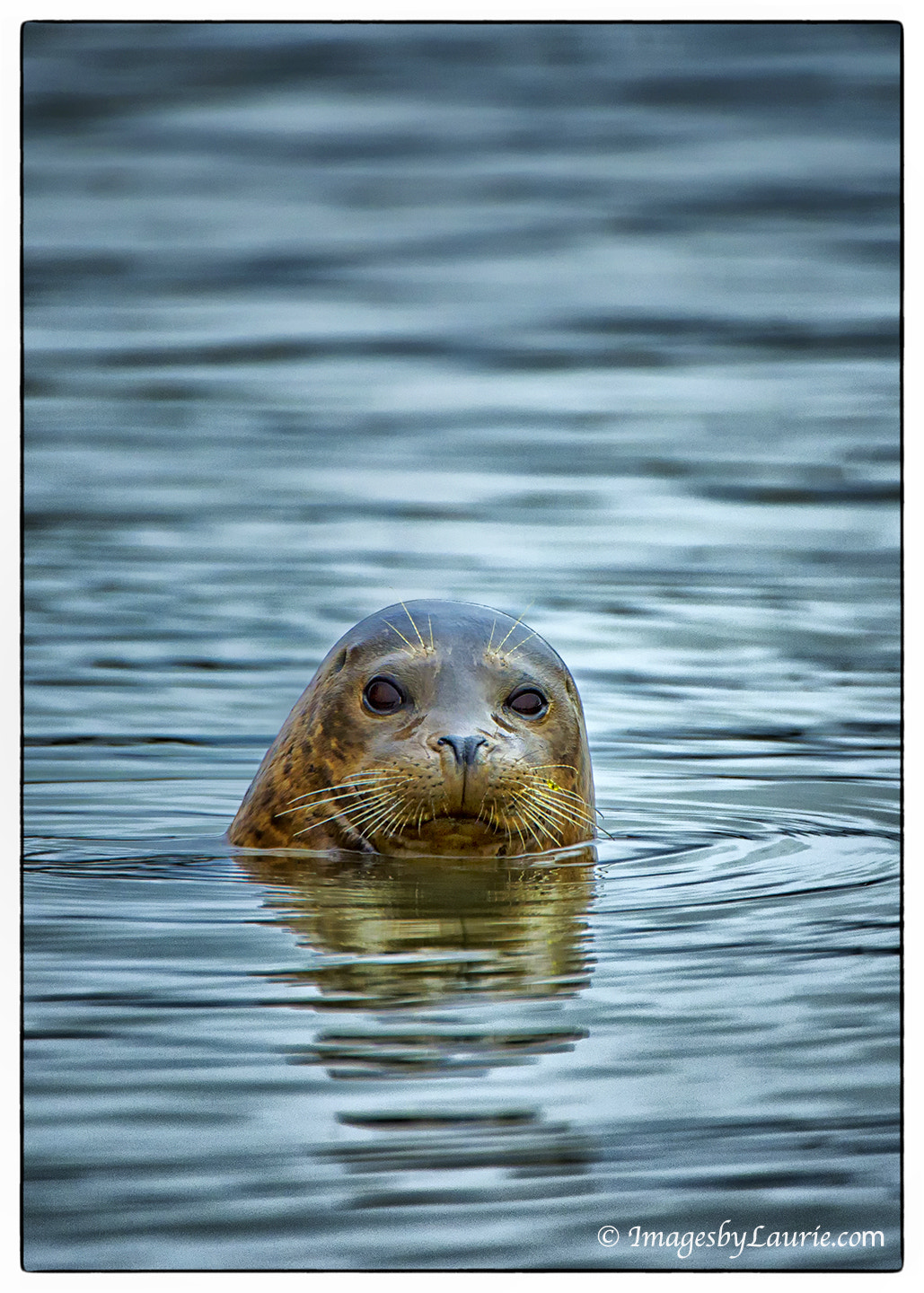 Nikon AF-S Nikkor 200-400mm F4G ED-IF VR sample photo. Peekaboo photography