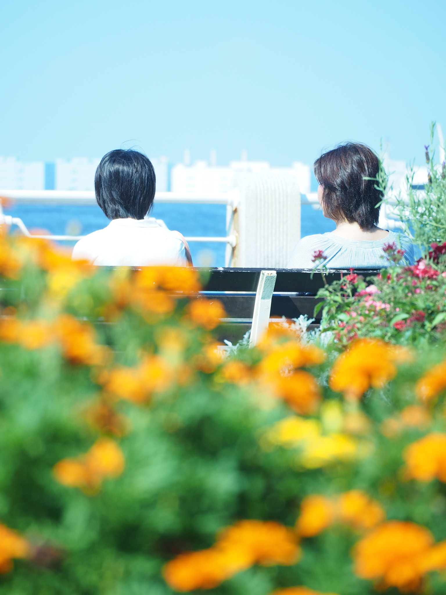LUMIX G VARIO 45-150/F4.0-5.6 sample photo. Olympus digital camera photography