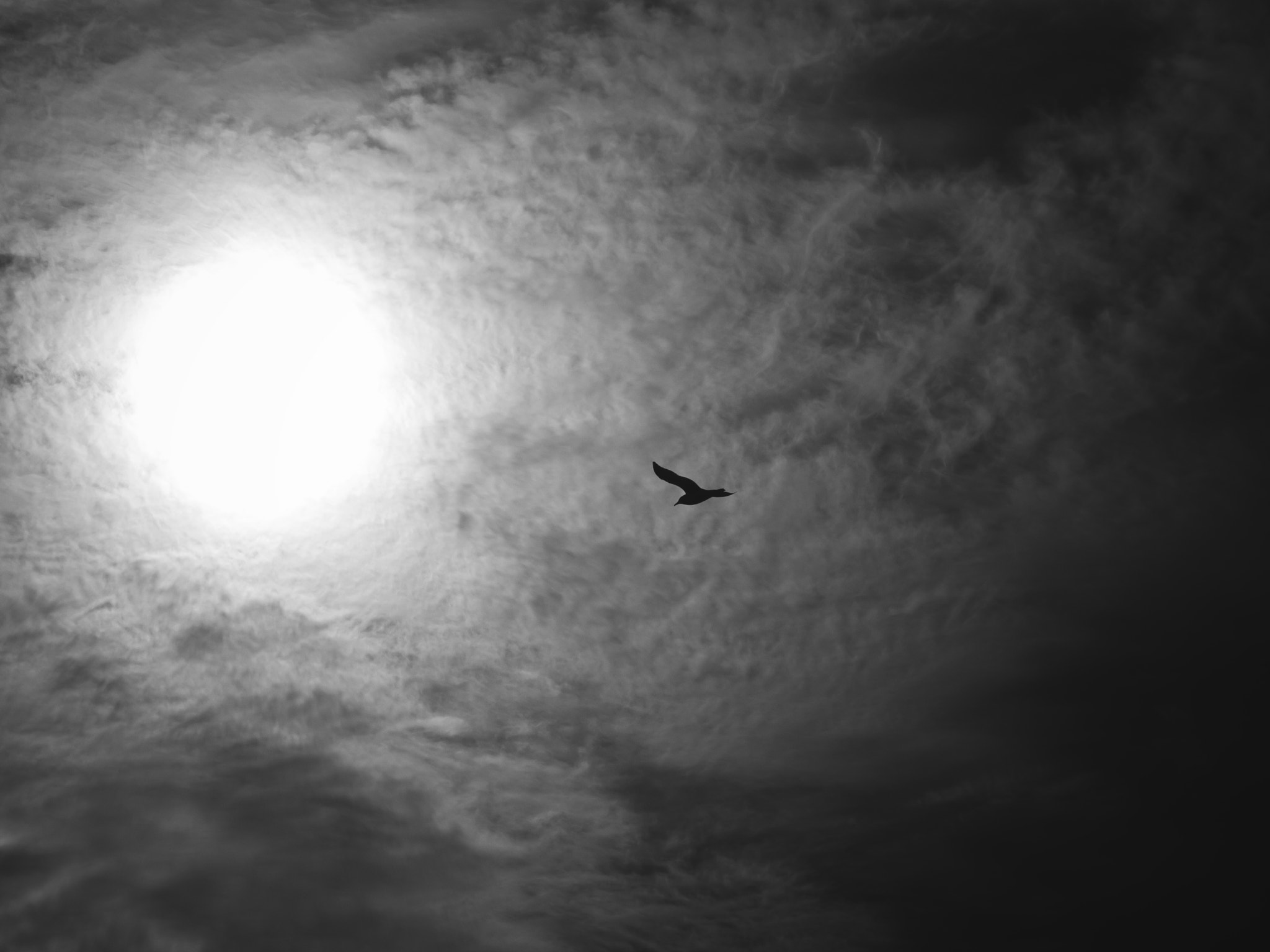 Olympus E-30 sample photo. Into the light photography