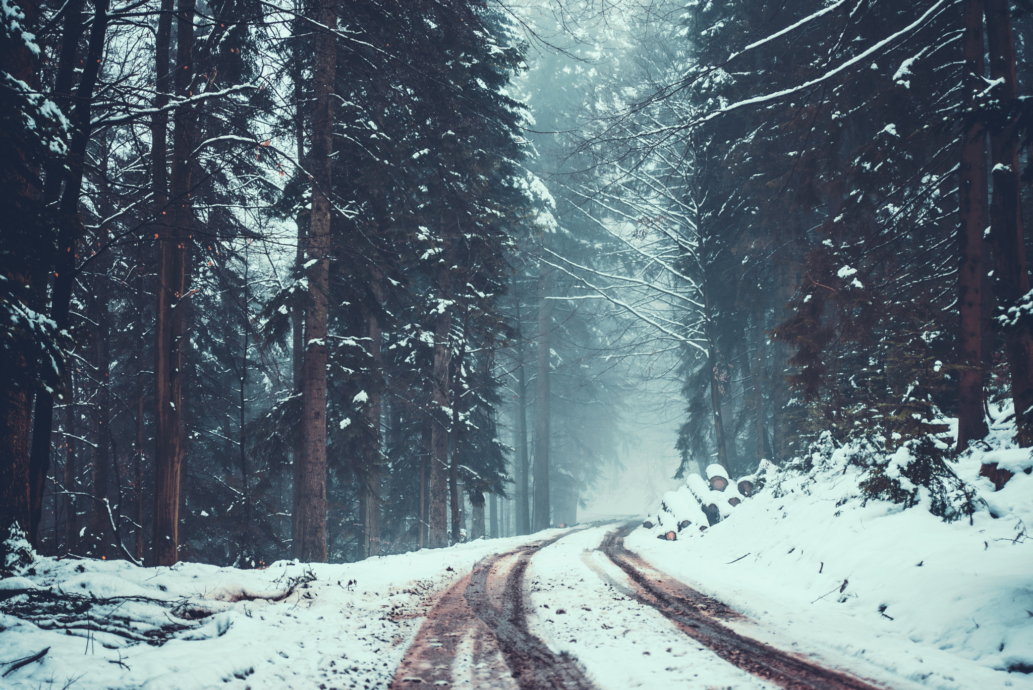 AF Zoom-Nikkor 28-70mm f/3.5-4.5 sample photo. Black forest, germany photography