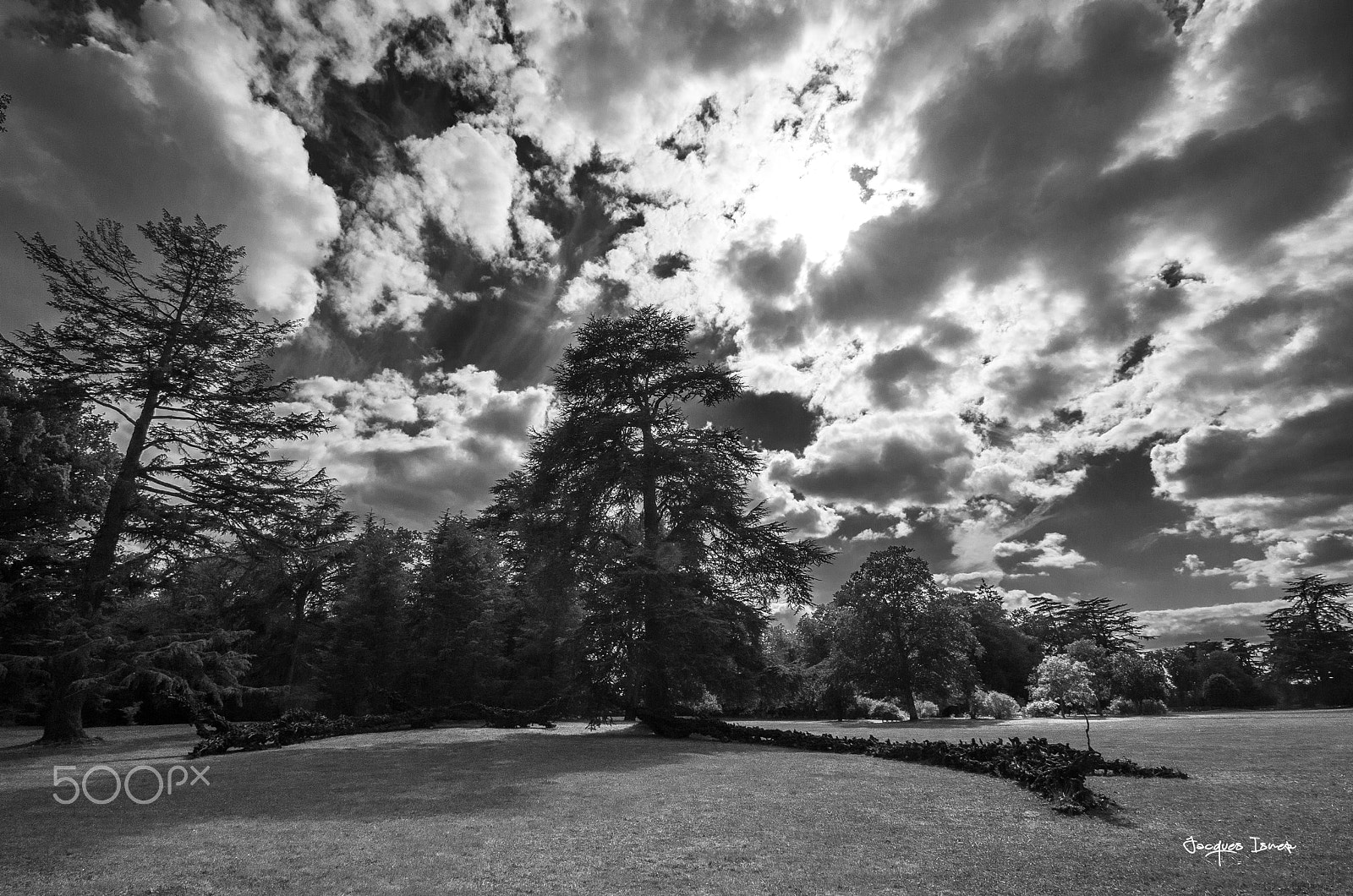 Pentax K-5 sample photo. Le parc photography