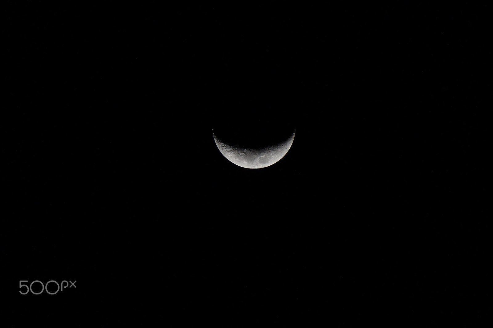 Sony E 55-210mm F4.5-6.3 OSS sample photo. The cheshire cat's mischievous smile photography