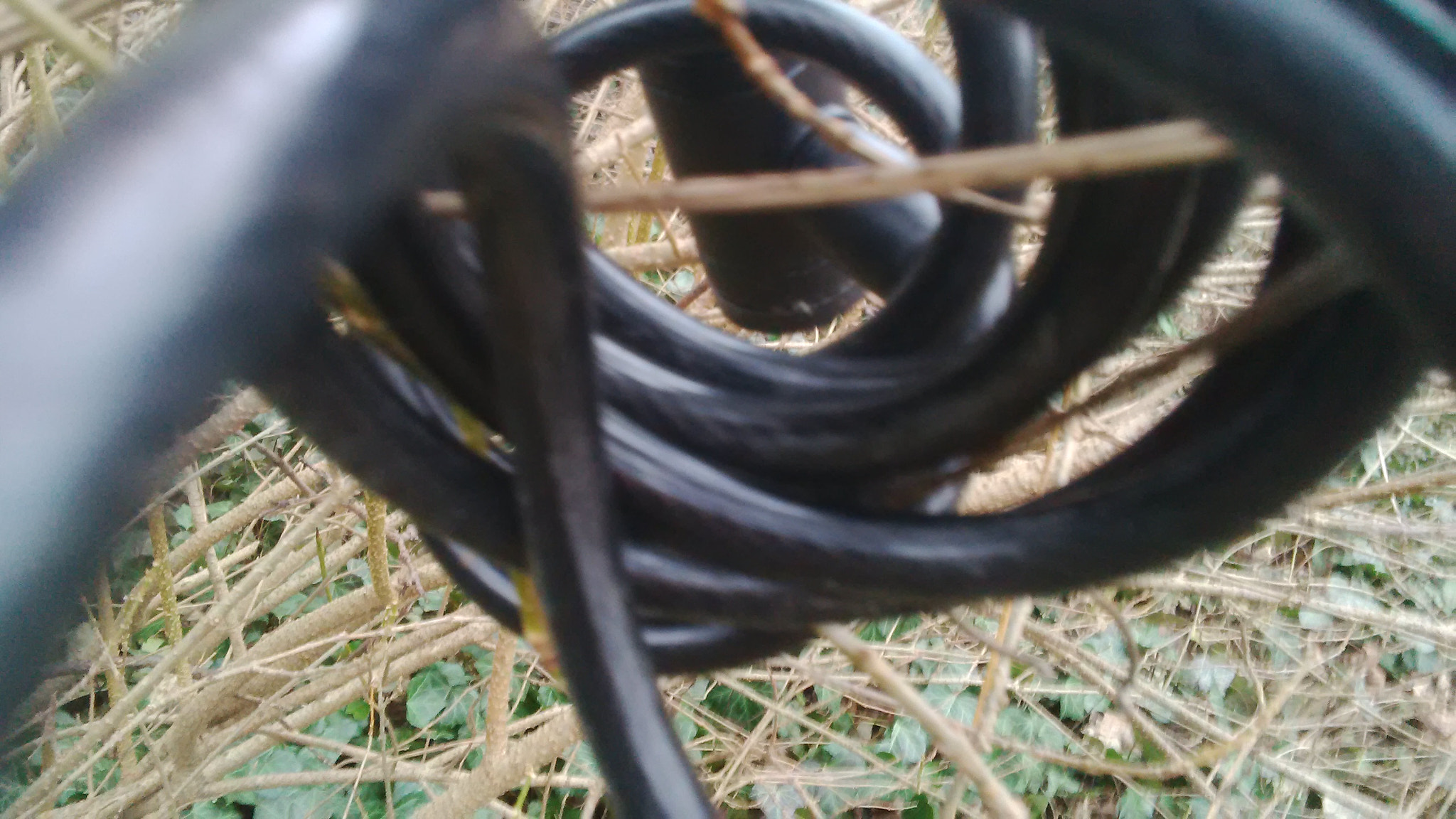 BlackBerry Q5 sample photo. Representation of nms school photography