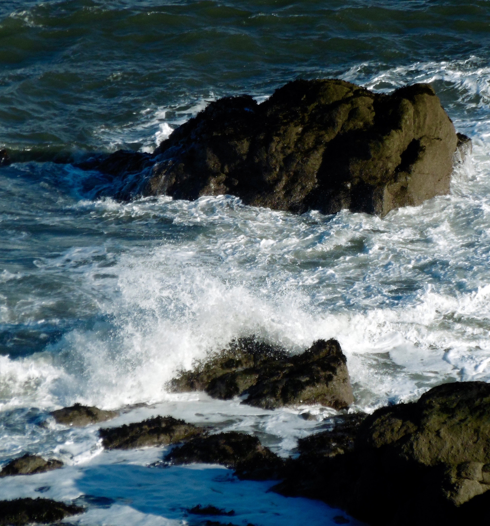 Panasonic DMC-SZ8 sample photo. Beside the sea photography