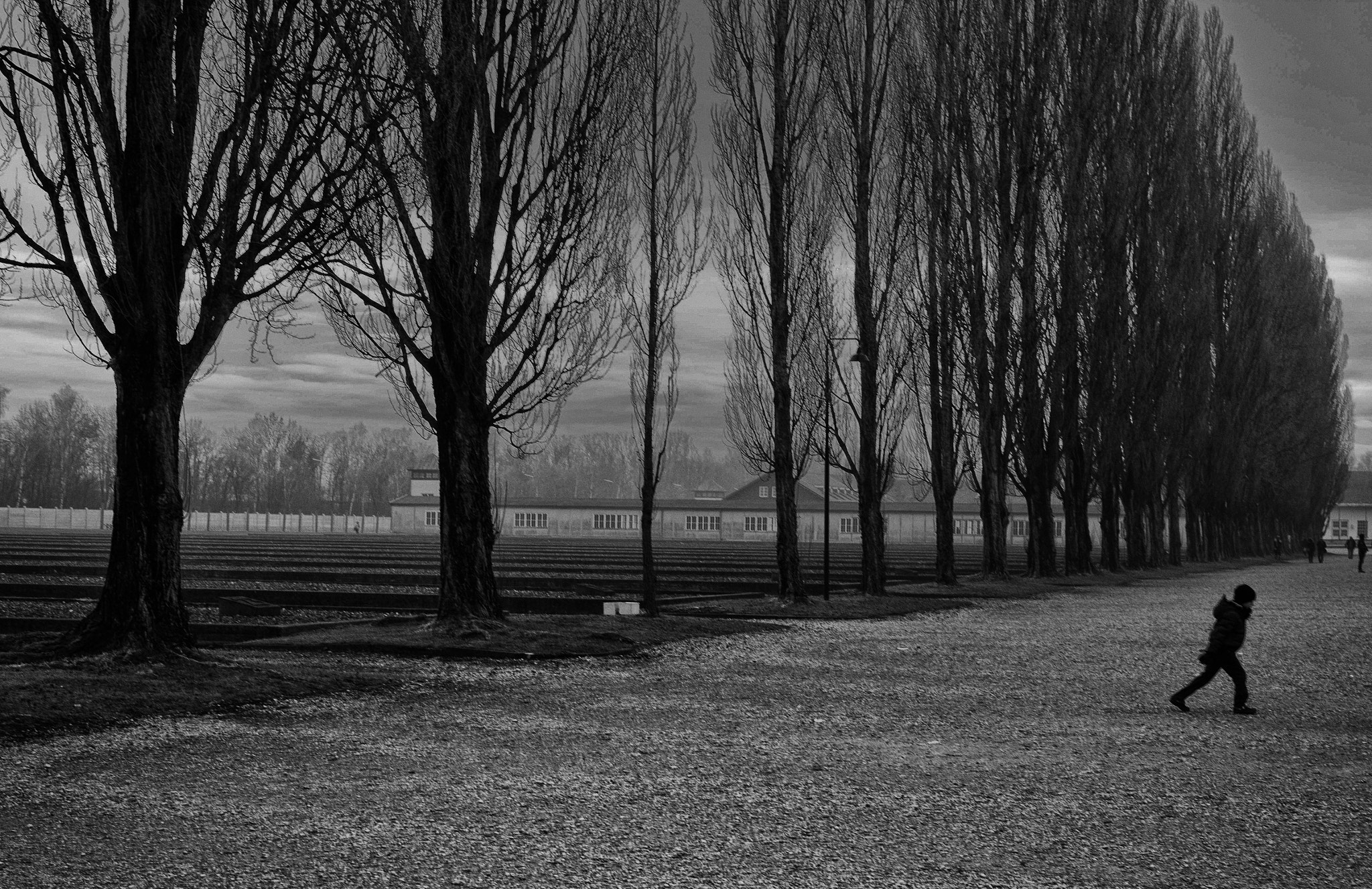 Canon EF 40mm F2.8 STM sample photo. Boy in dachau concentration camp photography