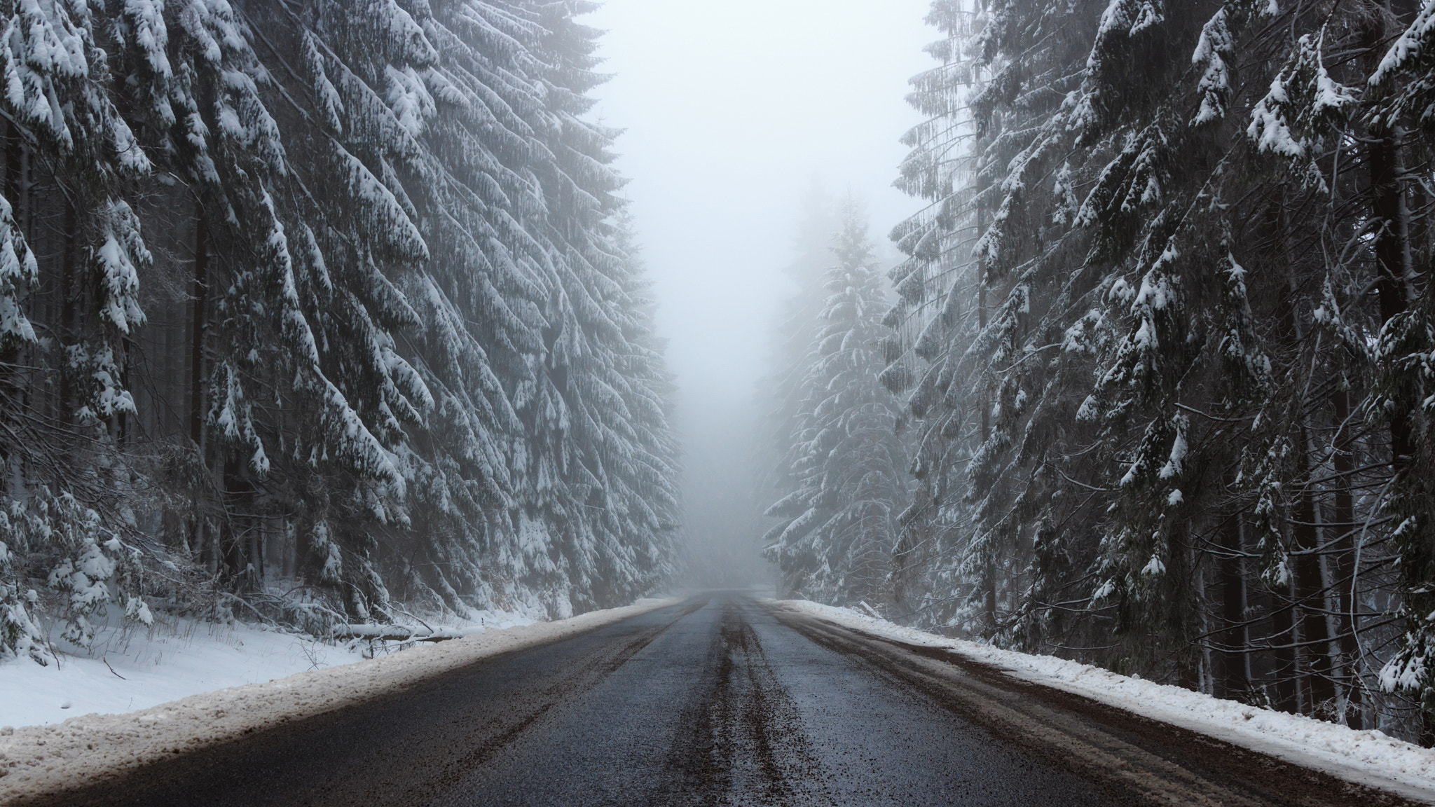 Sigma 24-105mm f/4 DG OS HSM | A sample photo. Road to infinity photography