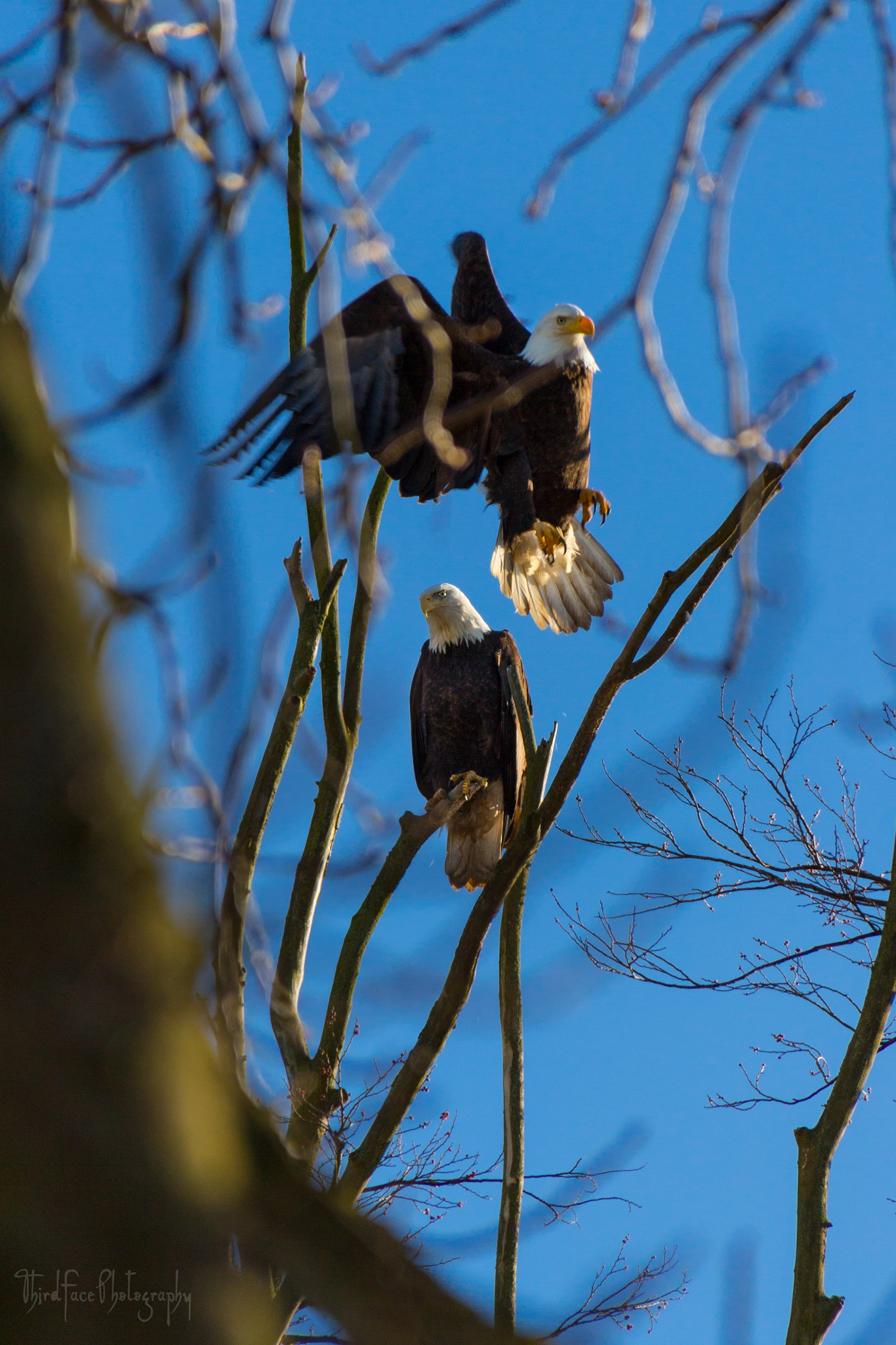 Sigma 18-250mm F3.5-6.3 DC OS HSM sample photo. Take off photography