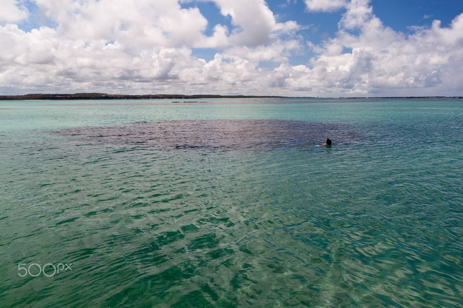 Sigma 10-20mm F4-5.6 EX DC HSM sample photo. Natural rock pools at maragogi - brazil photography
