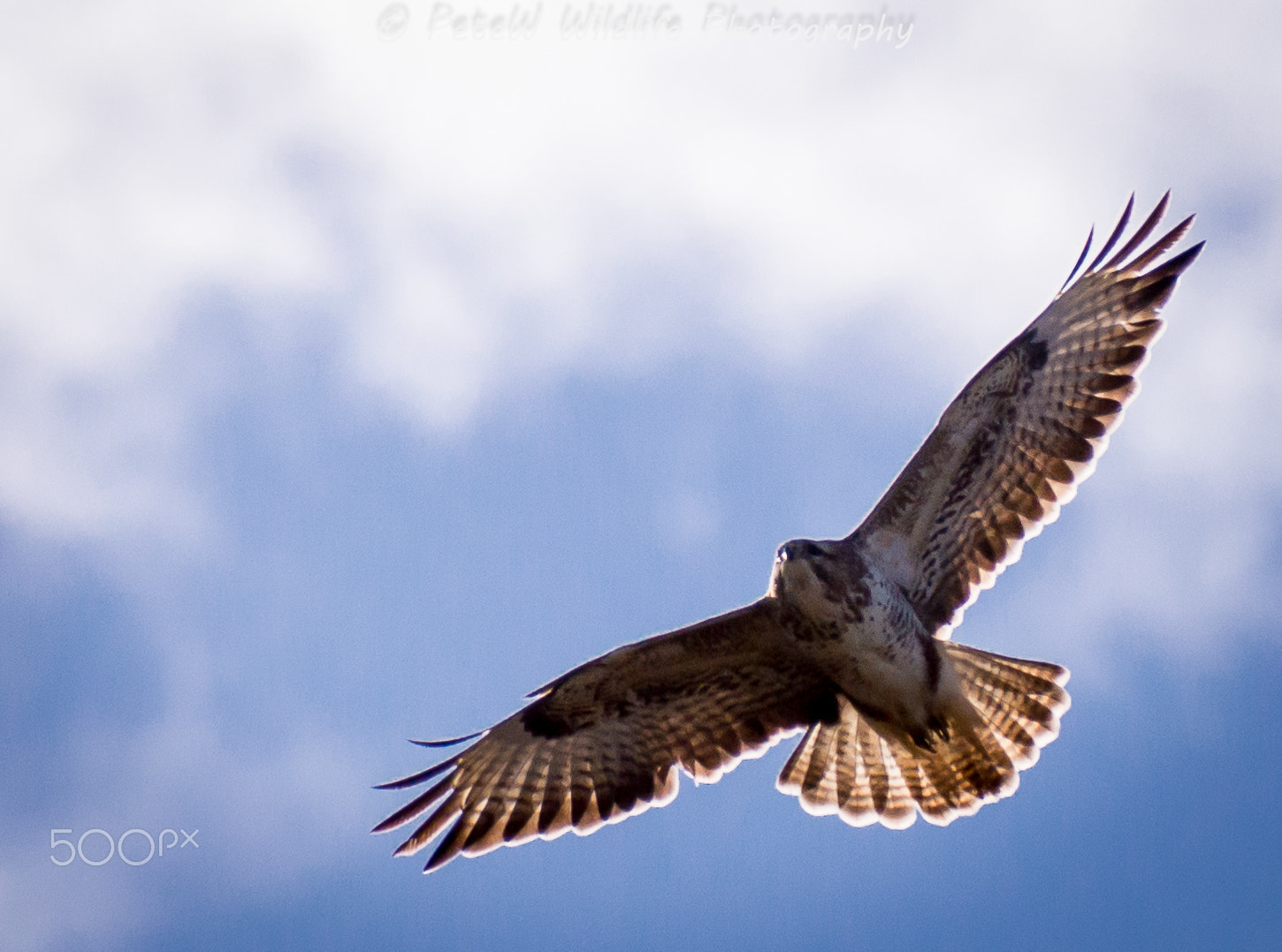 Sigma 150-600mm F5-6.3 DG OS HSM | C sample photo. 20160215-_dsc0209.jpg photography