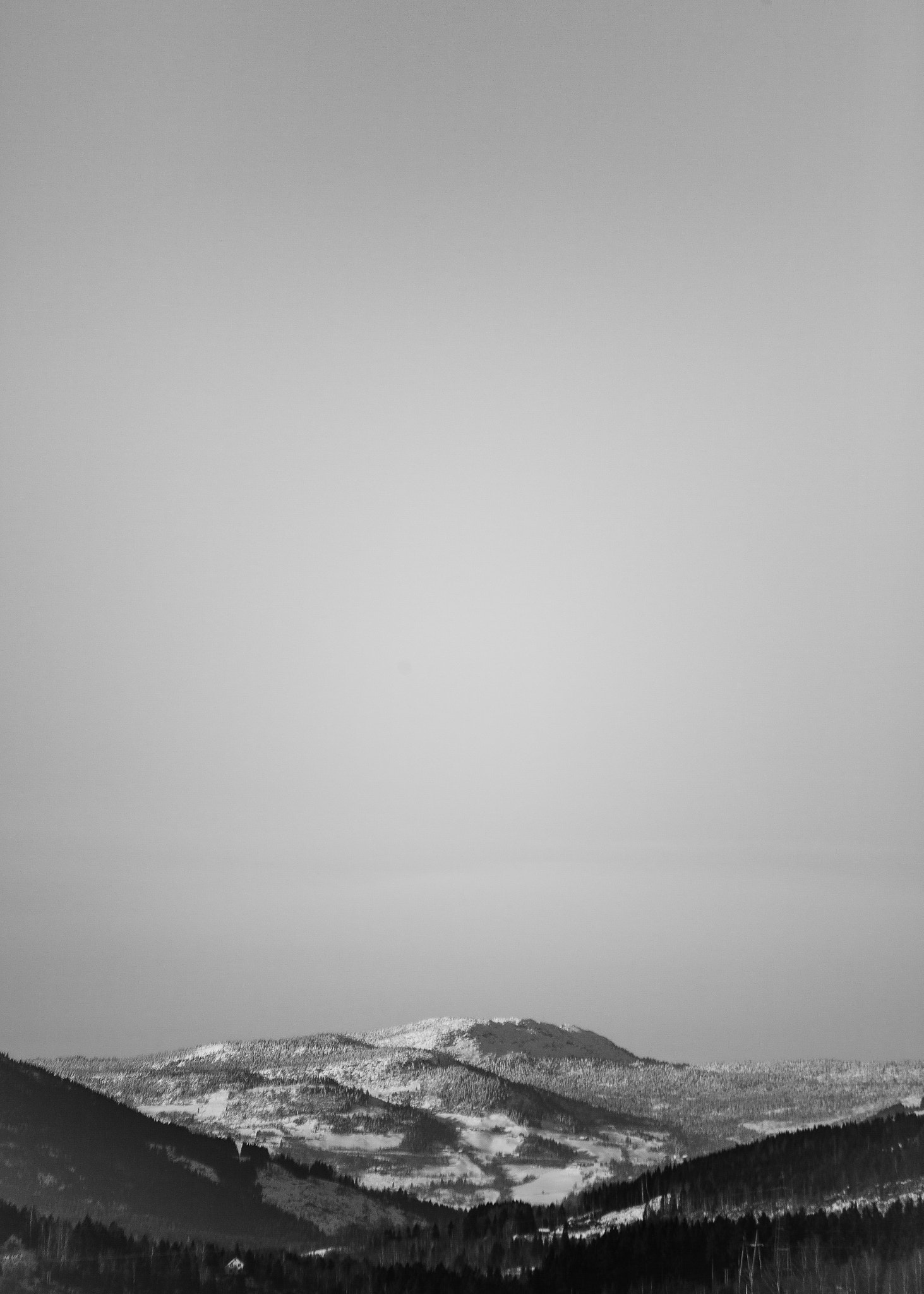 Sigma 70-300mm F4-5.6 APO DG Macro sample photo. Week 5: black and white photography