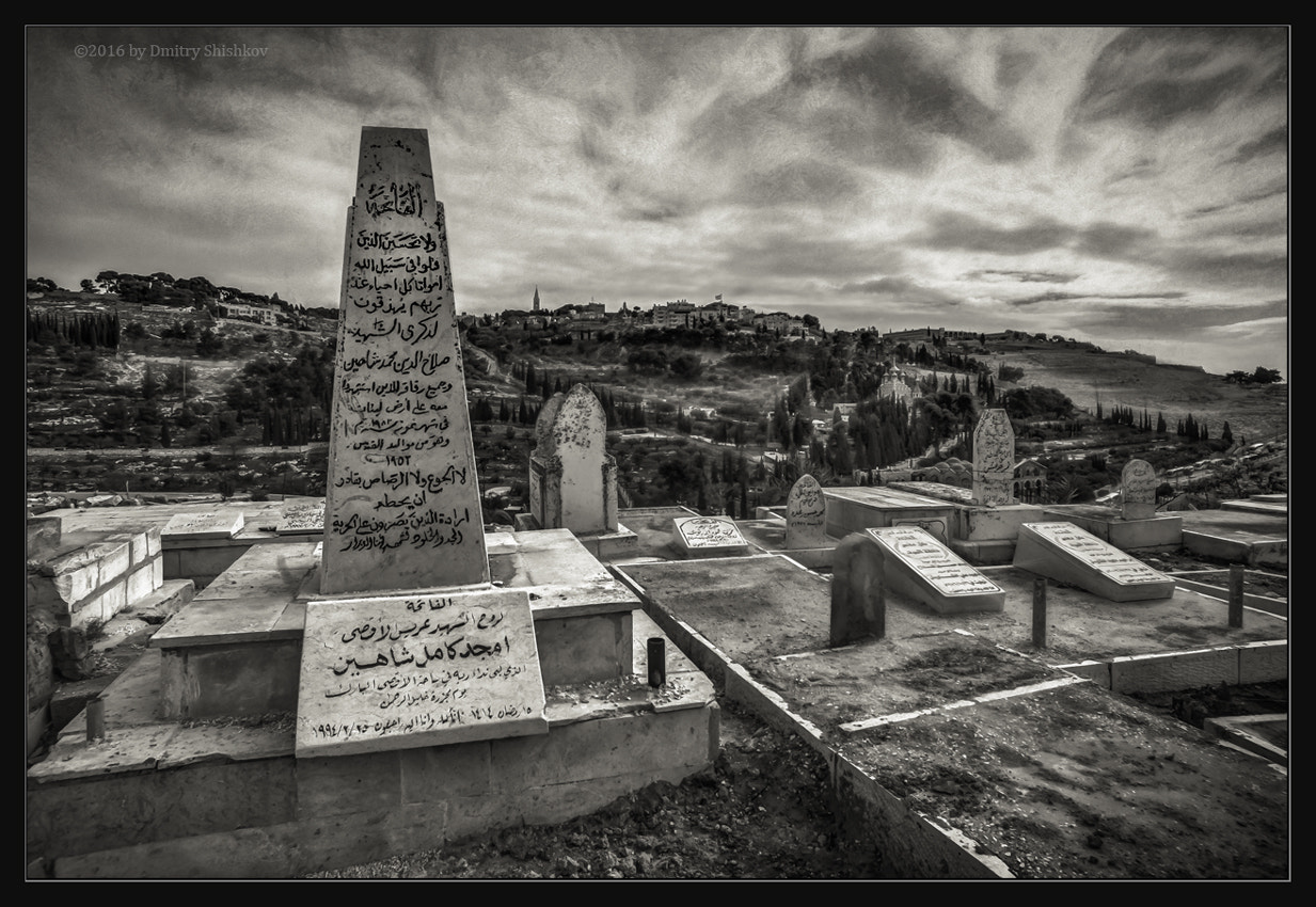 Pentax smc DA 14mm F2.8 ED (IF) sample photo. Under patronage of centuries photography