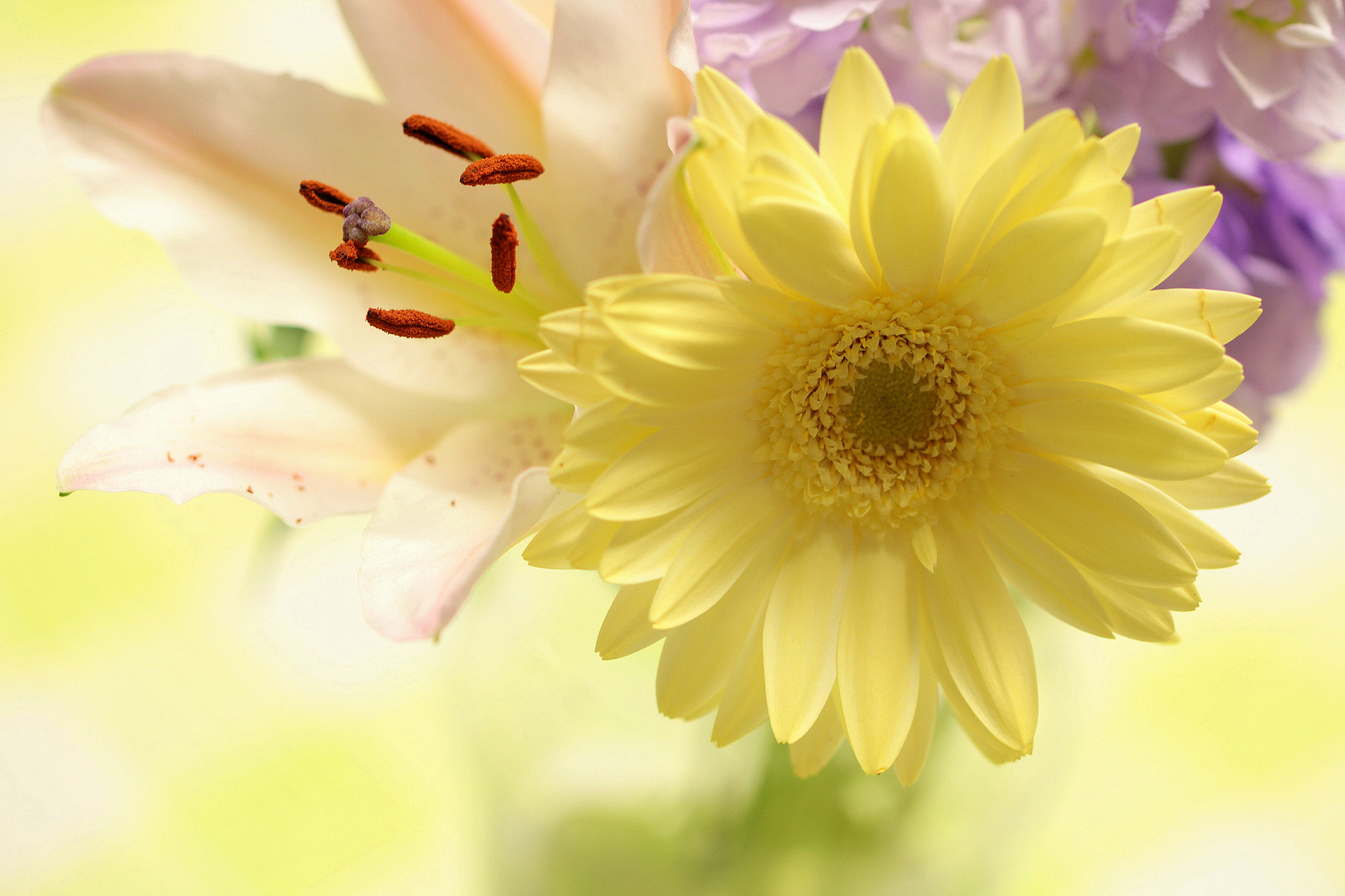 Canon EOS 650D (EOS Rebel T4i / EOS Kiss X6i) sample photo. Vitamin colors photography