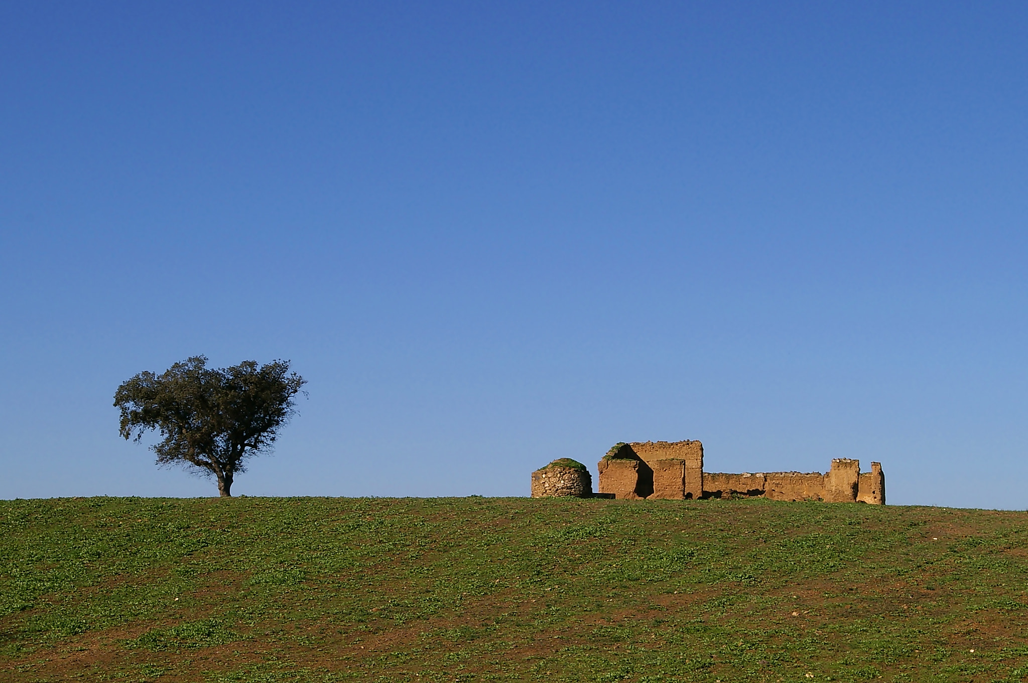 Pentax *ist DS sample photo. Alentejo photography