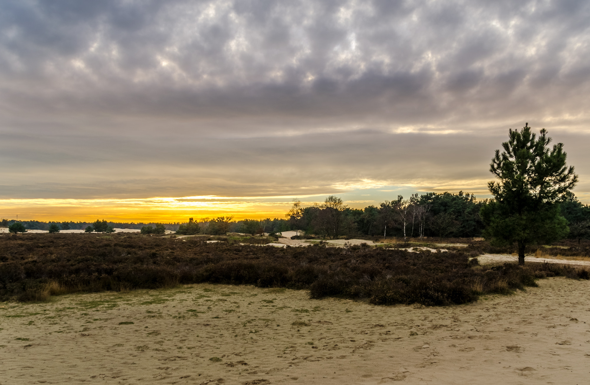 Nikon D5100 + Nikon PC-E Nikkor 24mm F3.5D ED Tilt-Shift sample photo. Nationaal park de loonse en drunense duinen photography