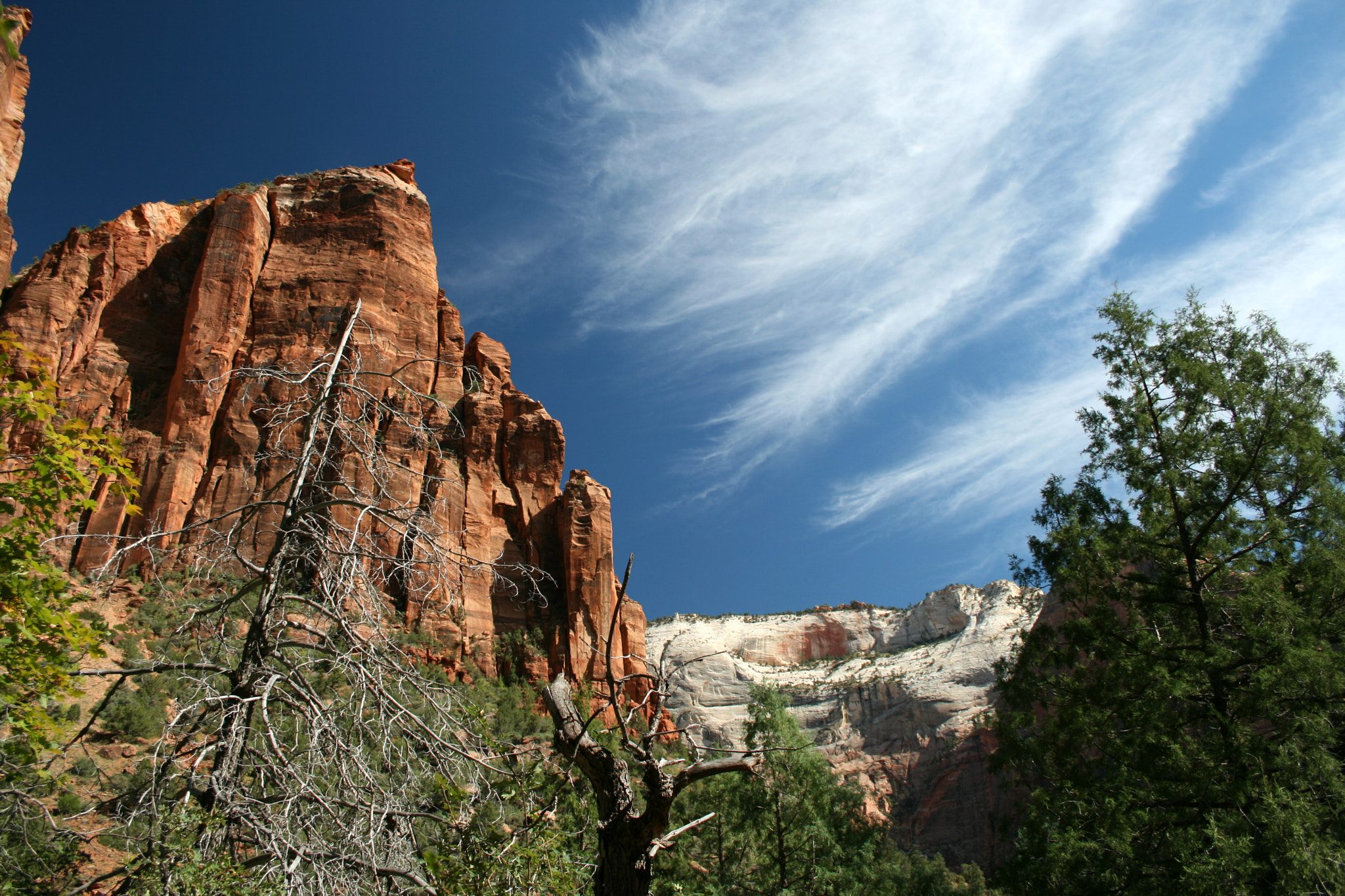 Canon EF-S 18-55mm f/3.5-5.6 USM sample photo. Zion canyon photography