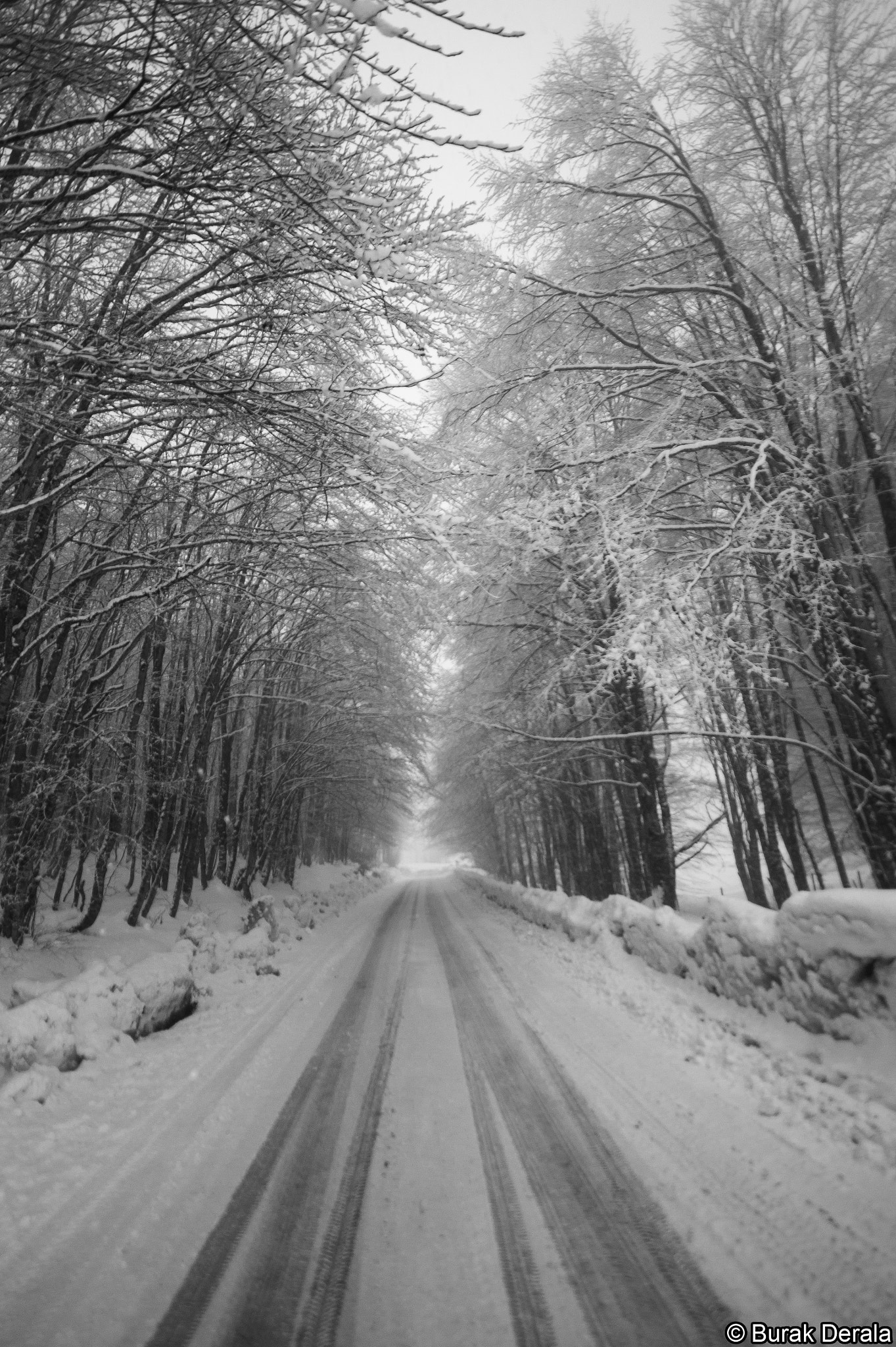 Sigma AF 10-20mm F4-5.6 EX DC sample photo. Winter is coming... photography