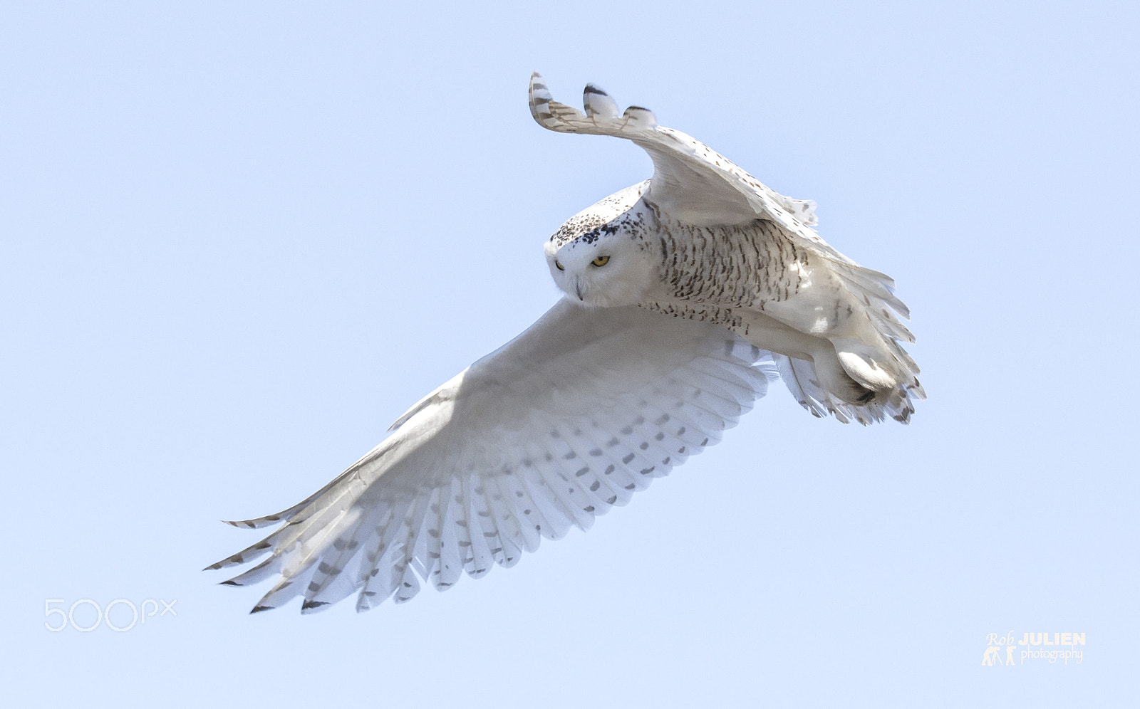 Canon EF 200-400mm F4L IS USM Extender 1.4x sample photo. 160a9174.jpg photography