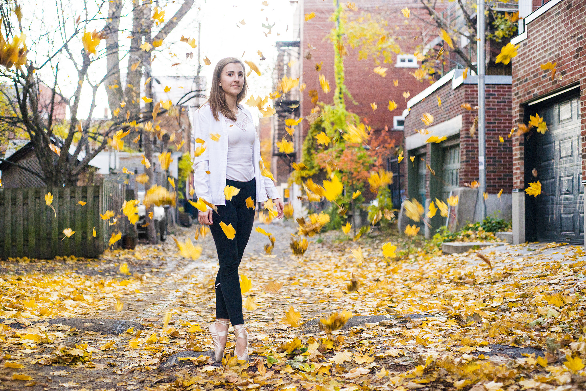 Nikon D800 + AF Nikkor 50mm f/1.8 sample photo. Yellow autumn photography