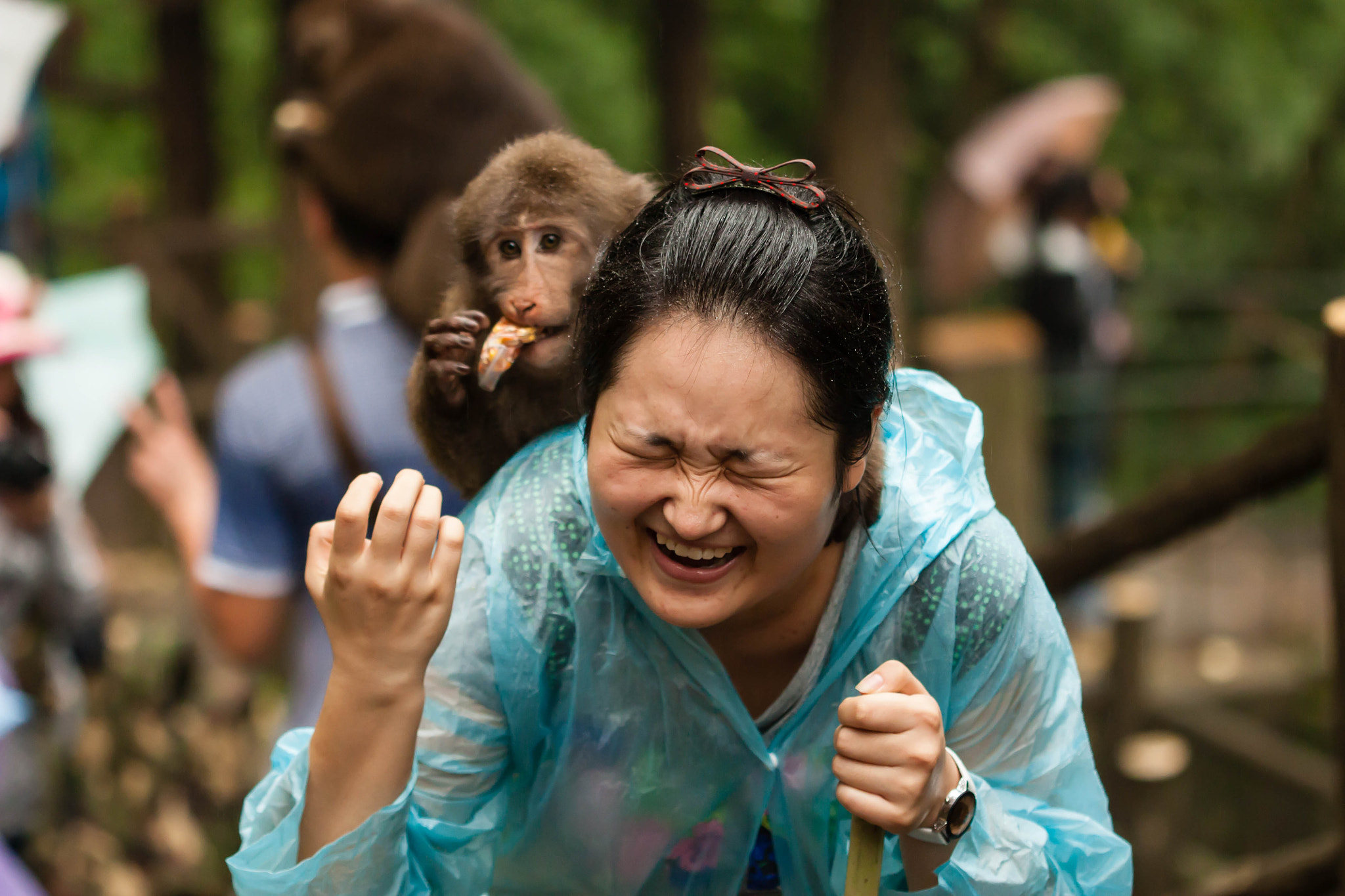 Canon EF 100mm F2.8 Macro USM sample photo. Scary monkey photography
