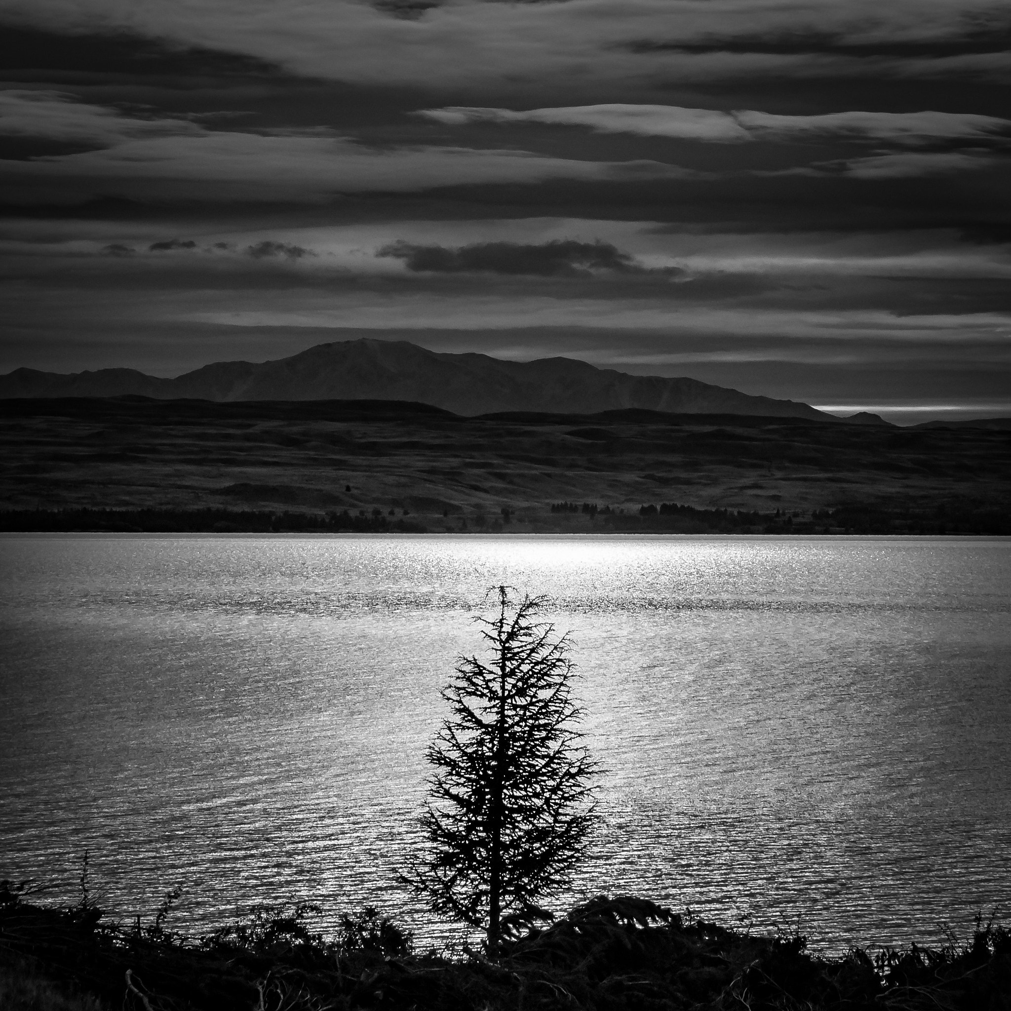 Sony Alpha DSLR-A700 sample photo. Tree at lake pukaki photography