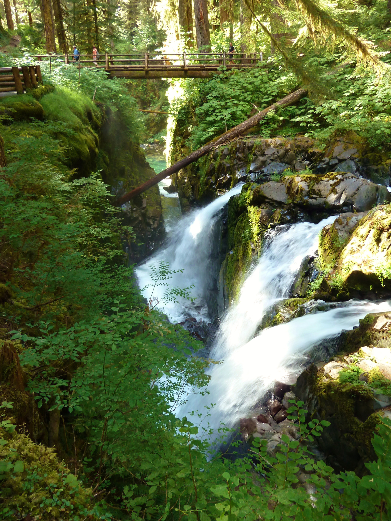 Panasonic DMC-ZS6 sample photo. Sol duc falls photography