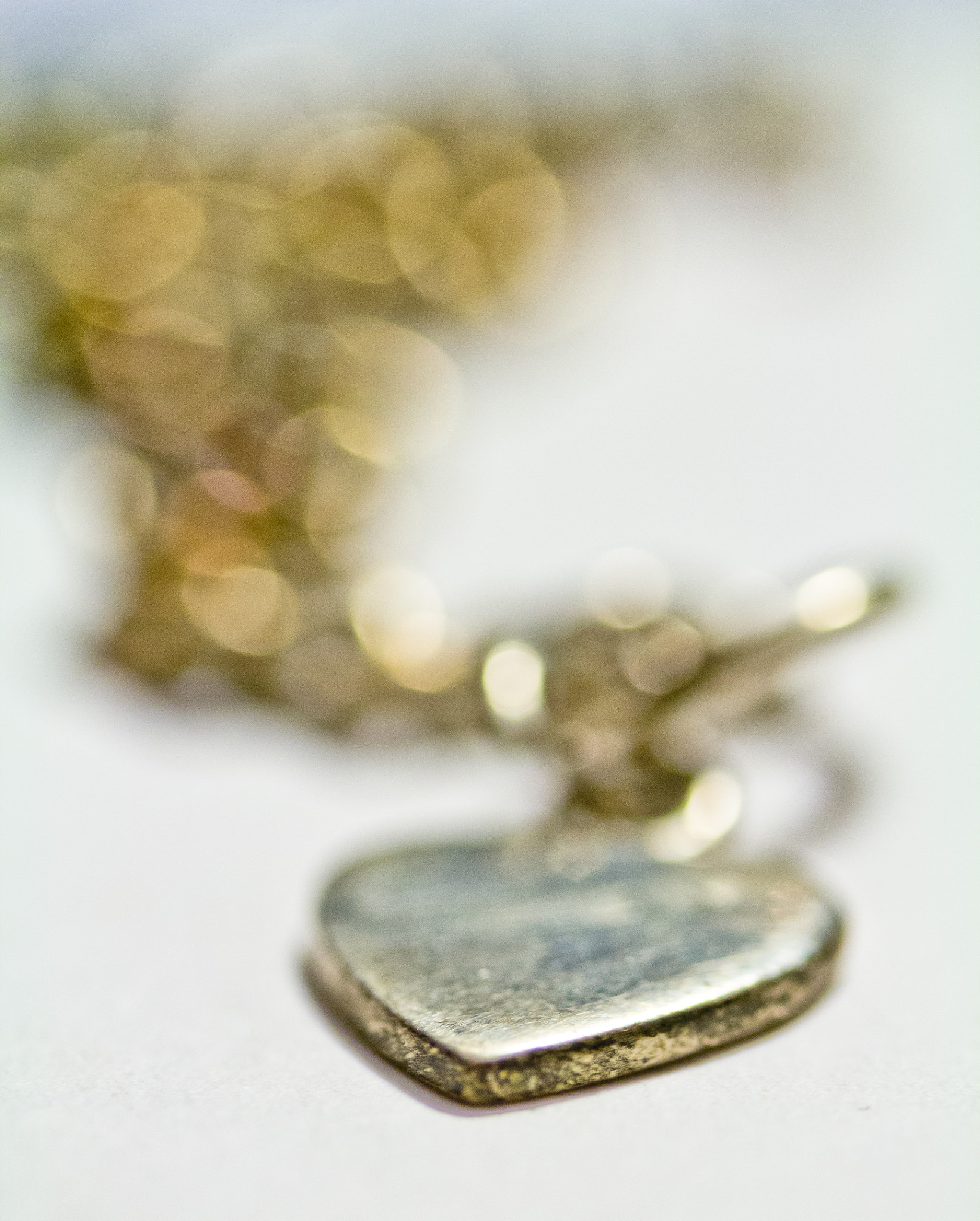 Canon EF-S 60mm F2.8 Macro USM sample photo. Heart of tarnished gold photography