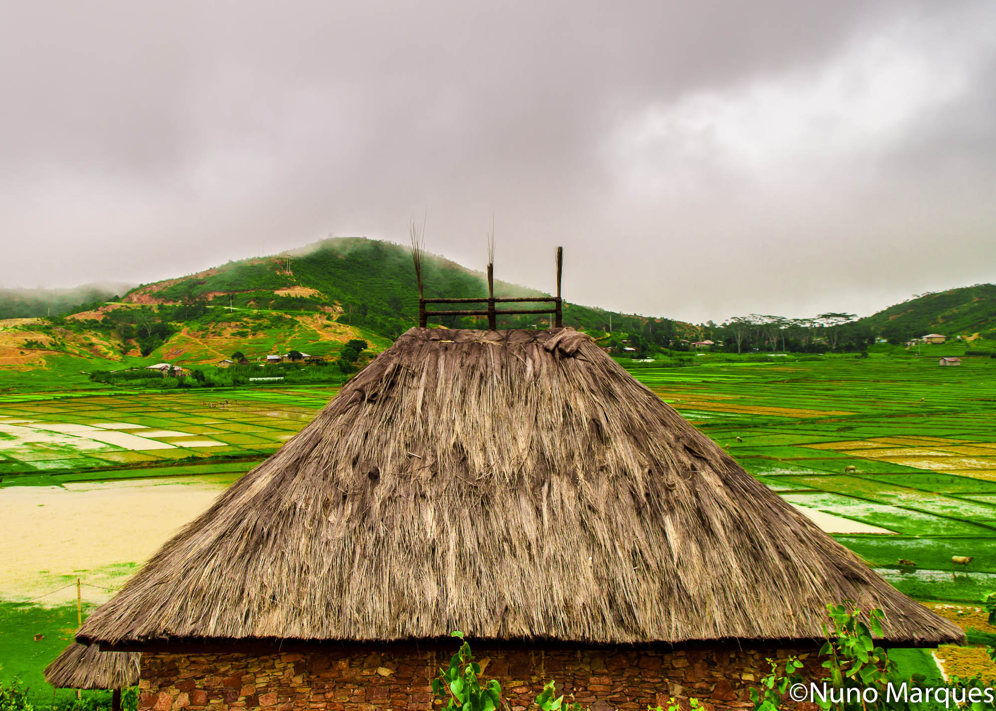 Tamron AF 18-200mm F3.5-6.3 XR Di II LD Aspherical (IF) Macro sample photo. Rice fields, aileu, timor-leste photography