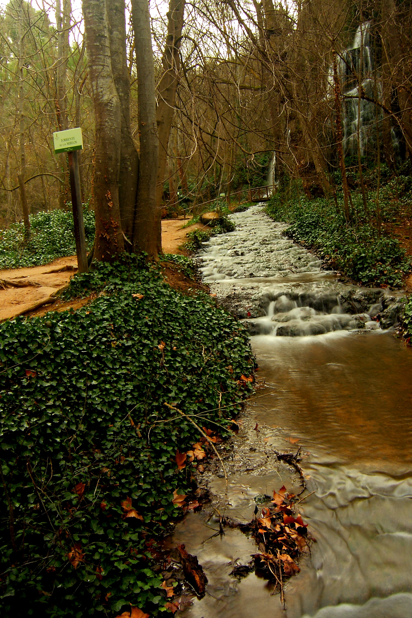 Tokina AT-X 12-28mm F4 Pro DX sample photo. Torrente de los mirlos  photography