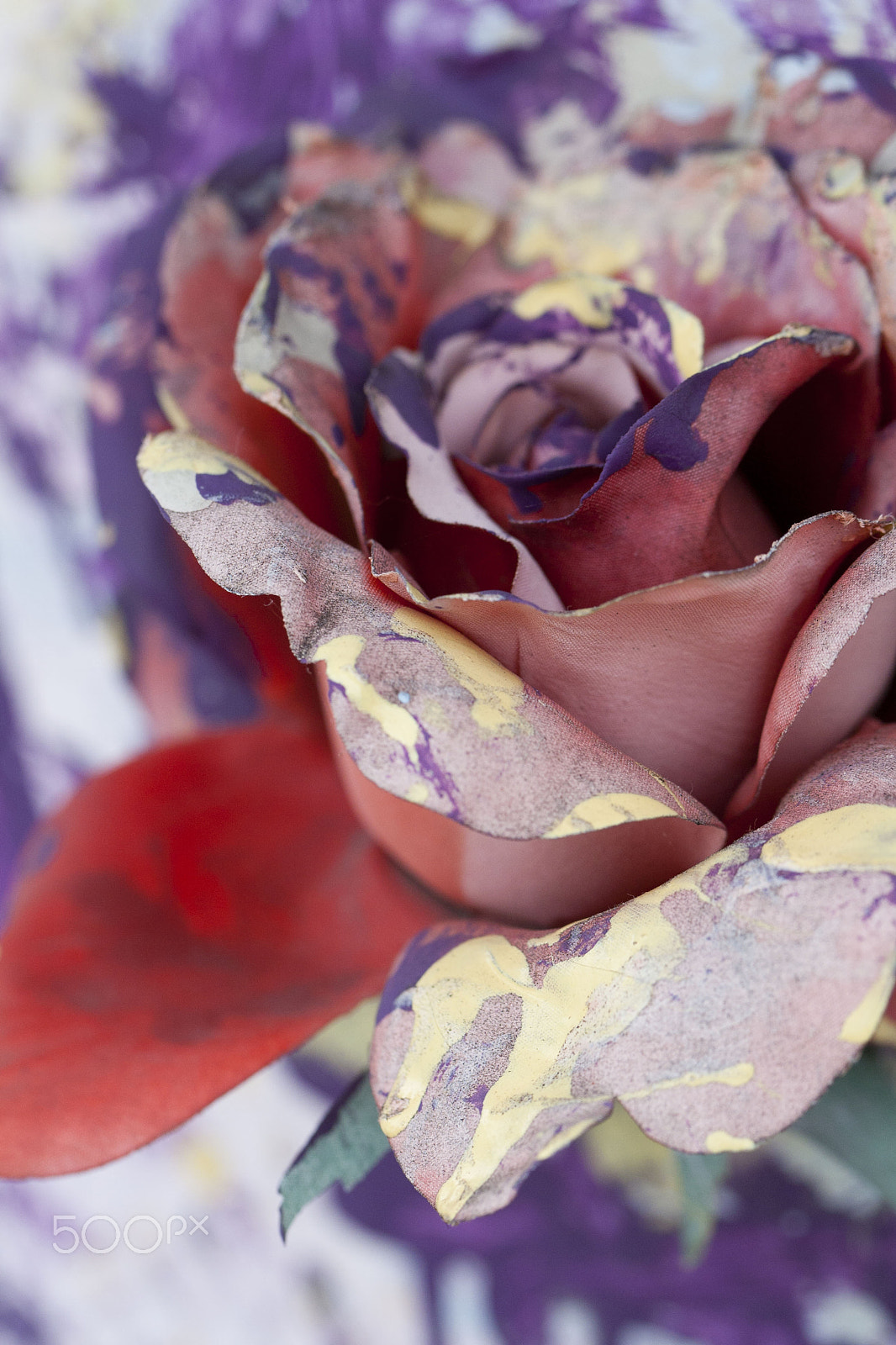 Canon EOS 1000D (EOS Digital Rebel XS / EOS Kiss F) sample photo. Grave flower photography