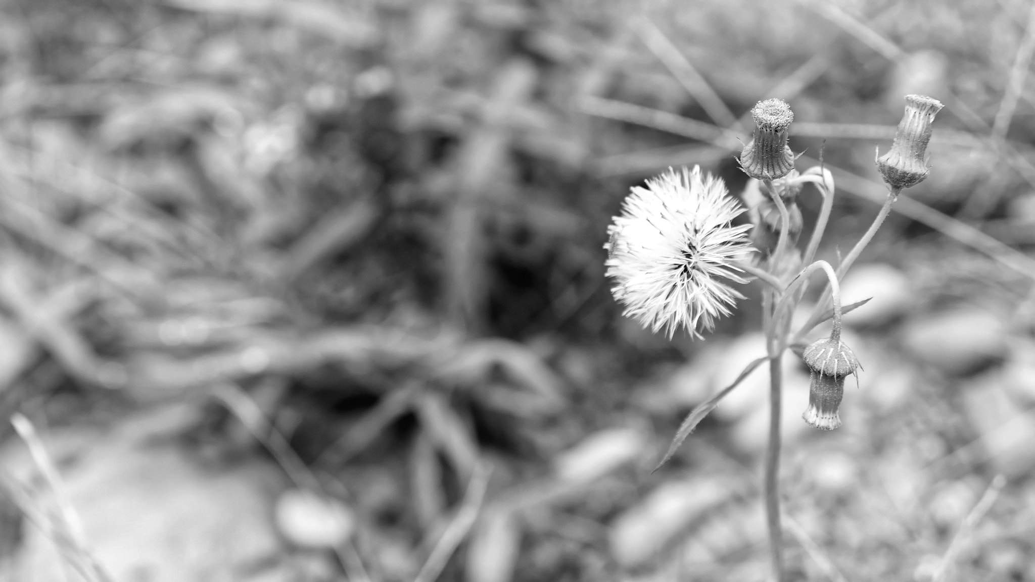 Sony Alpha NEX-7 + Sony E 35mm F1.8 OSS sample photo. Another viewpoint photography