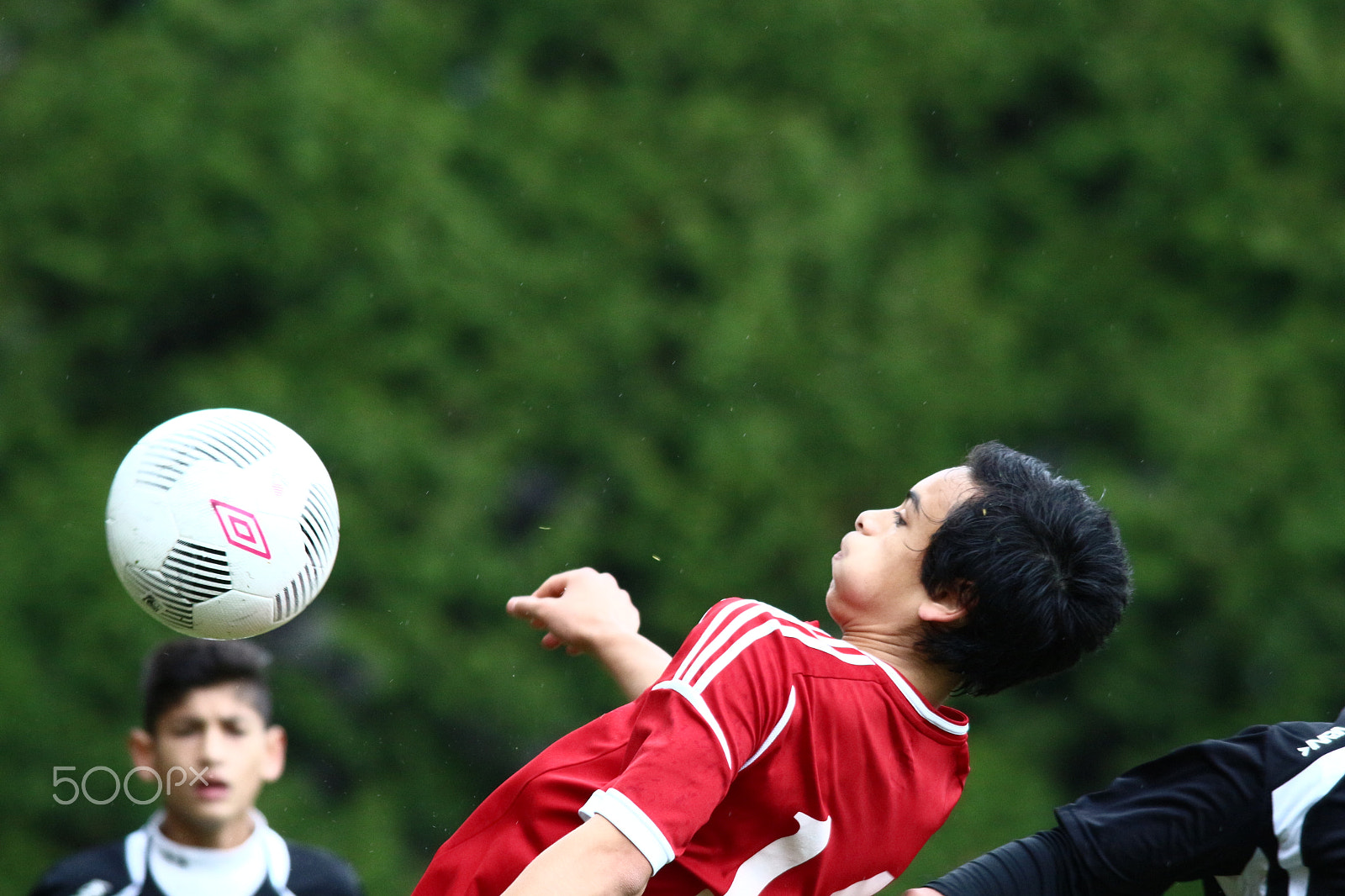 Sigma 150-500mm F5-6.3 DG OS HSM sample photo. Close shave! photography