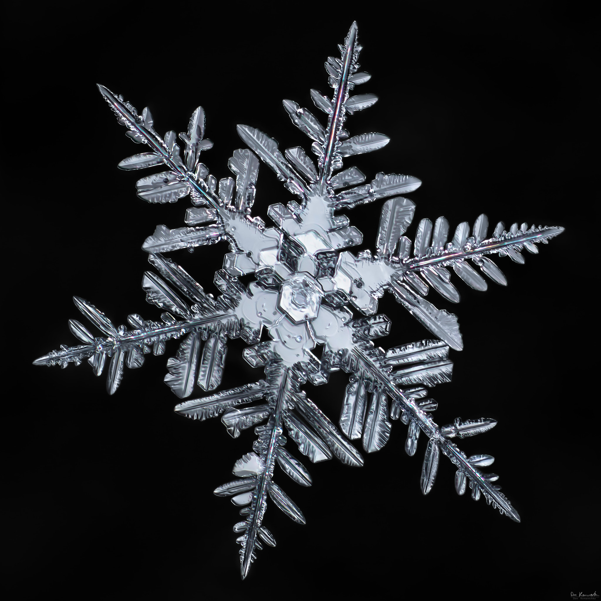 Canon MP-E 65mm F2.5 1-5x Macro Photo sample photo. Snowflake-a-day #77 photography