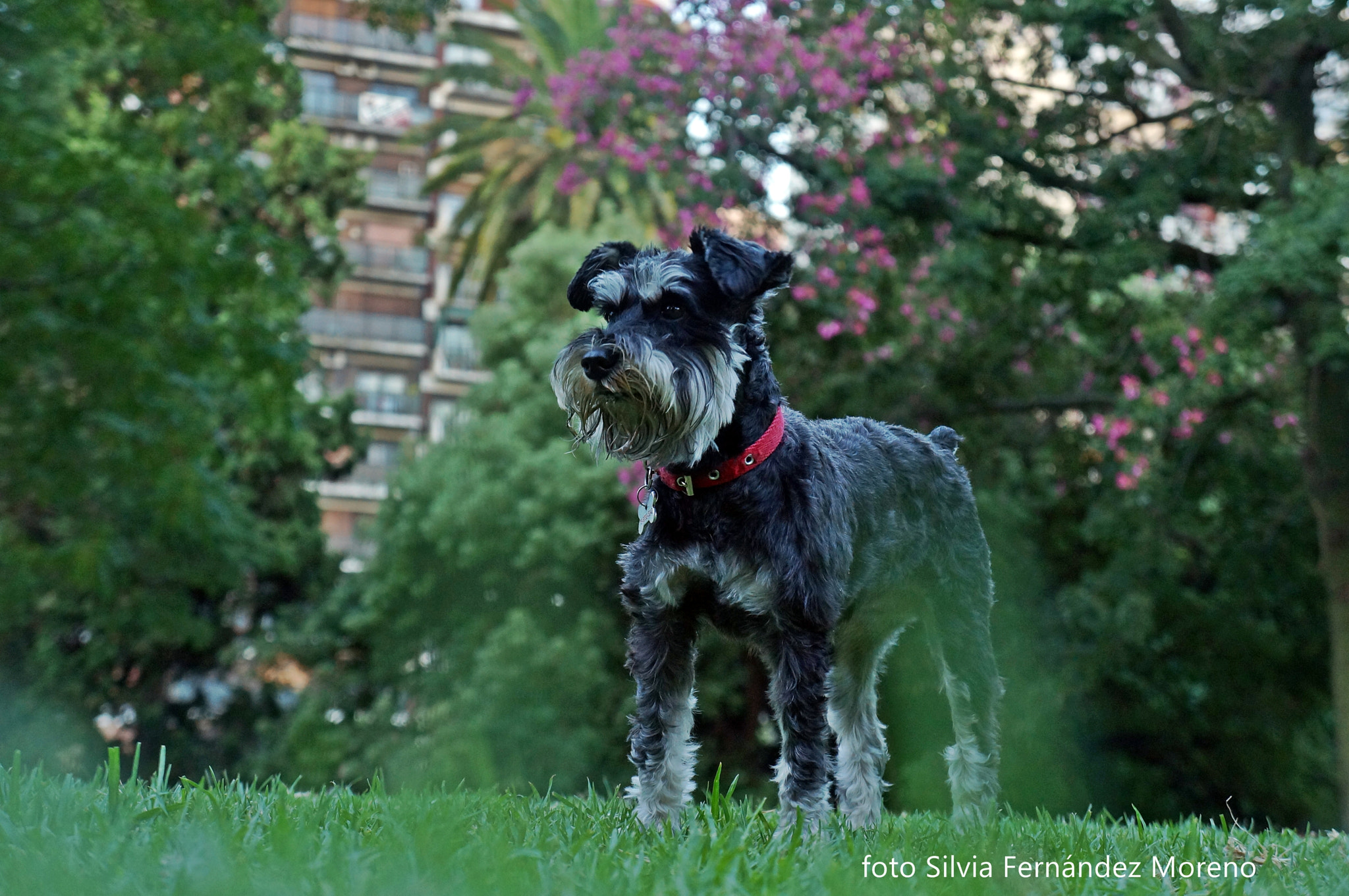 Sony FE 28-70mm F3.5-5.6 OSS sample photo. Porte photography