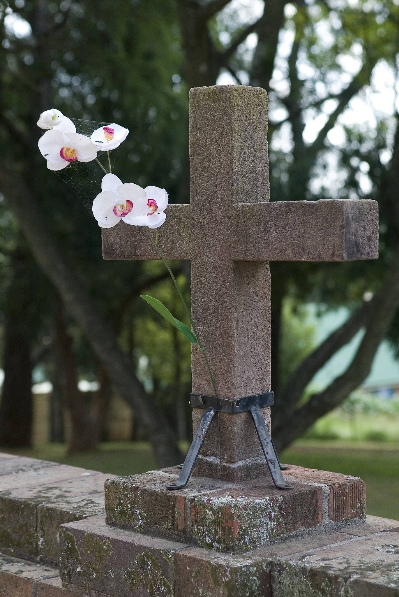 Canon EOS-1D sample photo. Columbarium cross photography