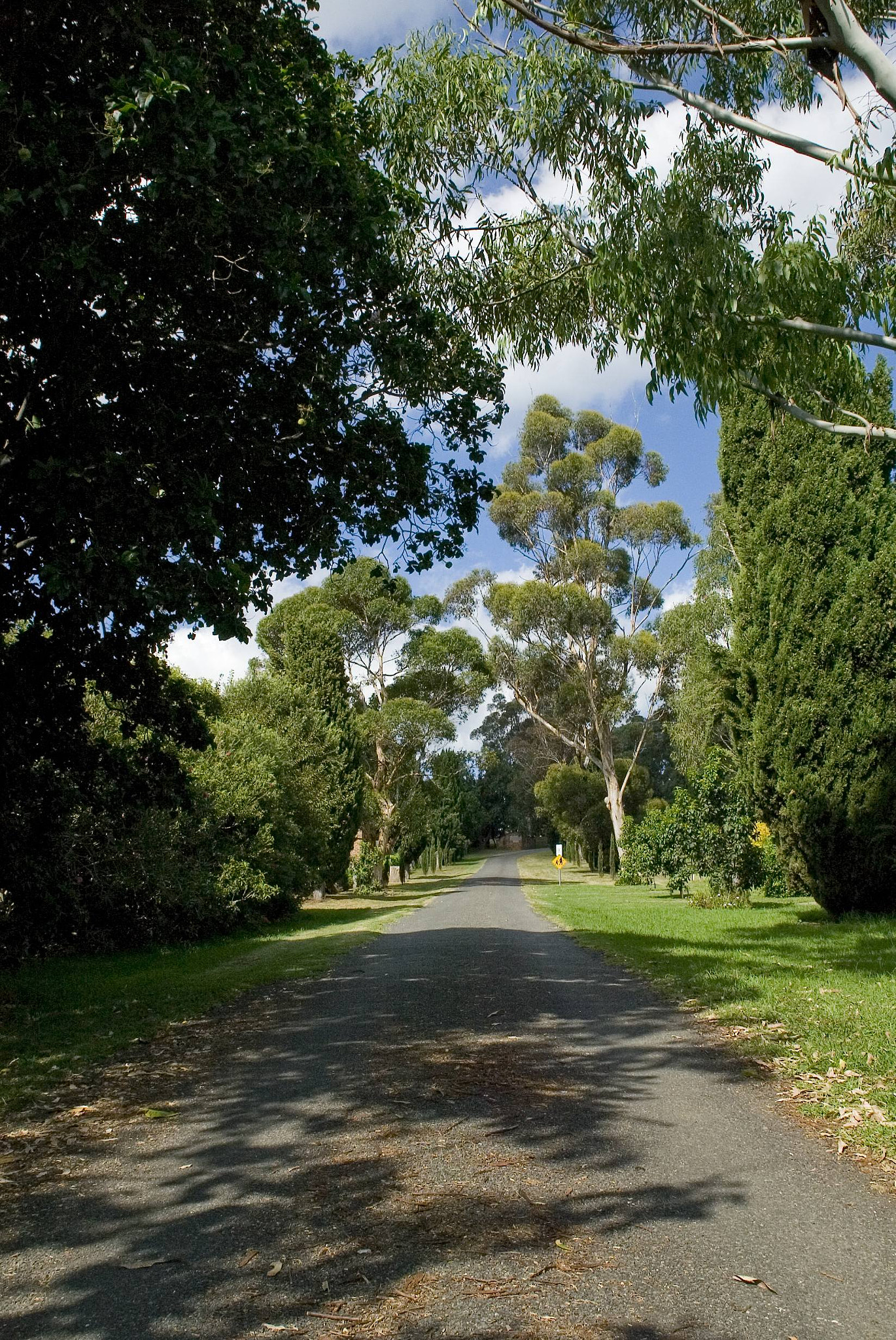 Canon EOS-1D sample photo. Driveway photography